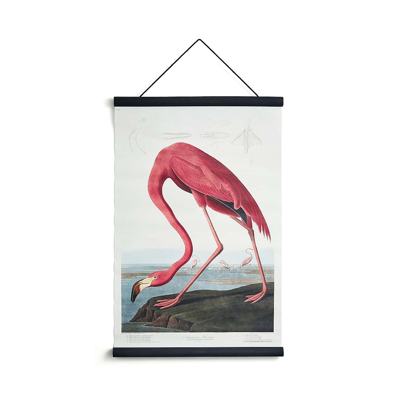 Flamingo Hanging Canvas 63cm x 43cm