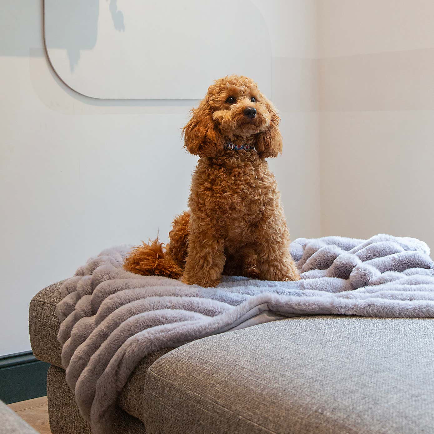 Scruffs Luxurious Aspen Pet Blanket