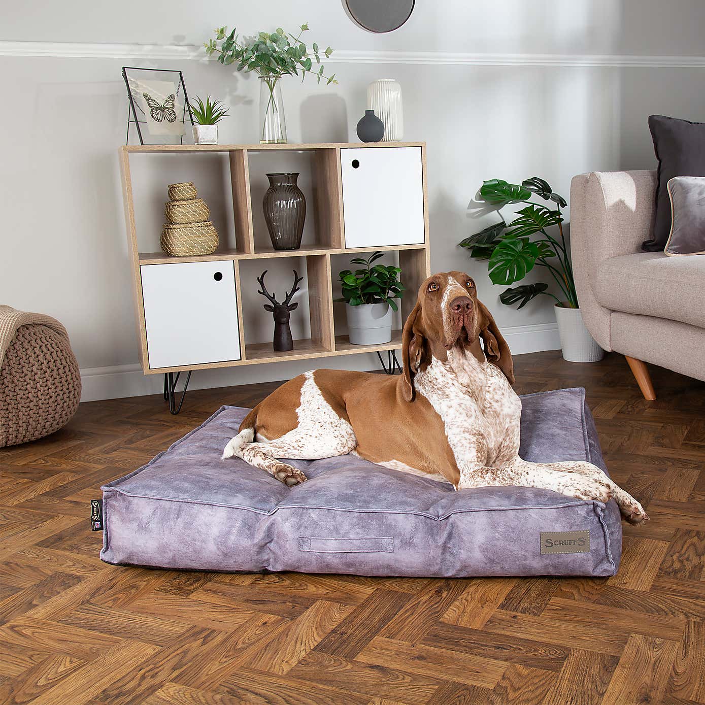 Scruffs Kensington Mattress Pet Bed