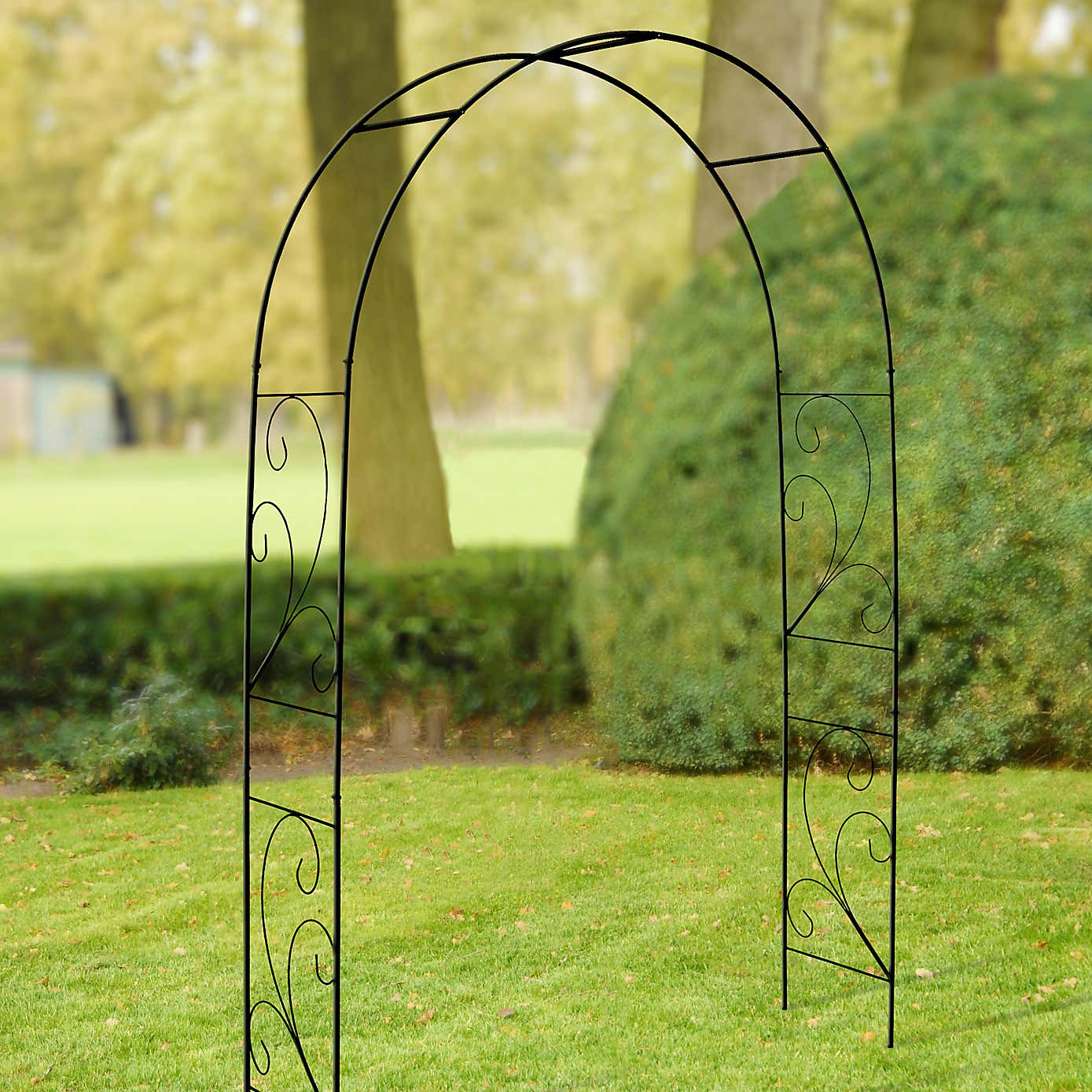 Fallen Fruits Scroll Rose Arch