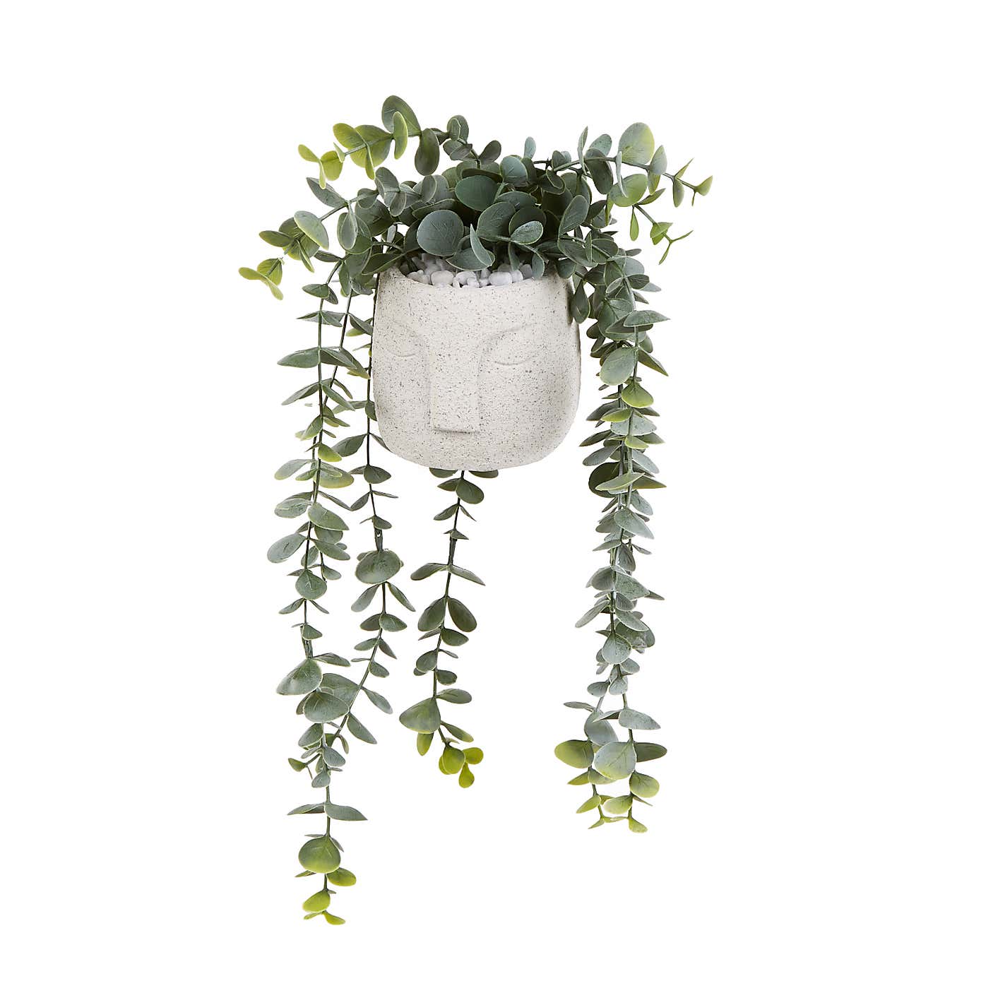 Artificial Trailing Eucalyptus in Face Plant Pot