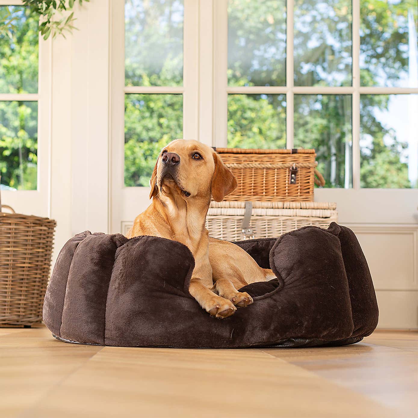 Lords and Labradors High Wall Dog Bed