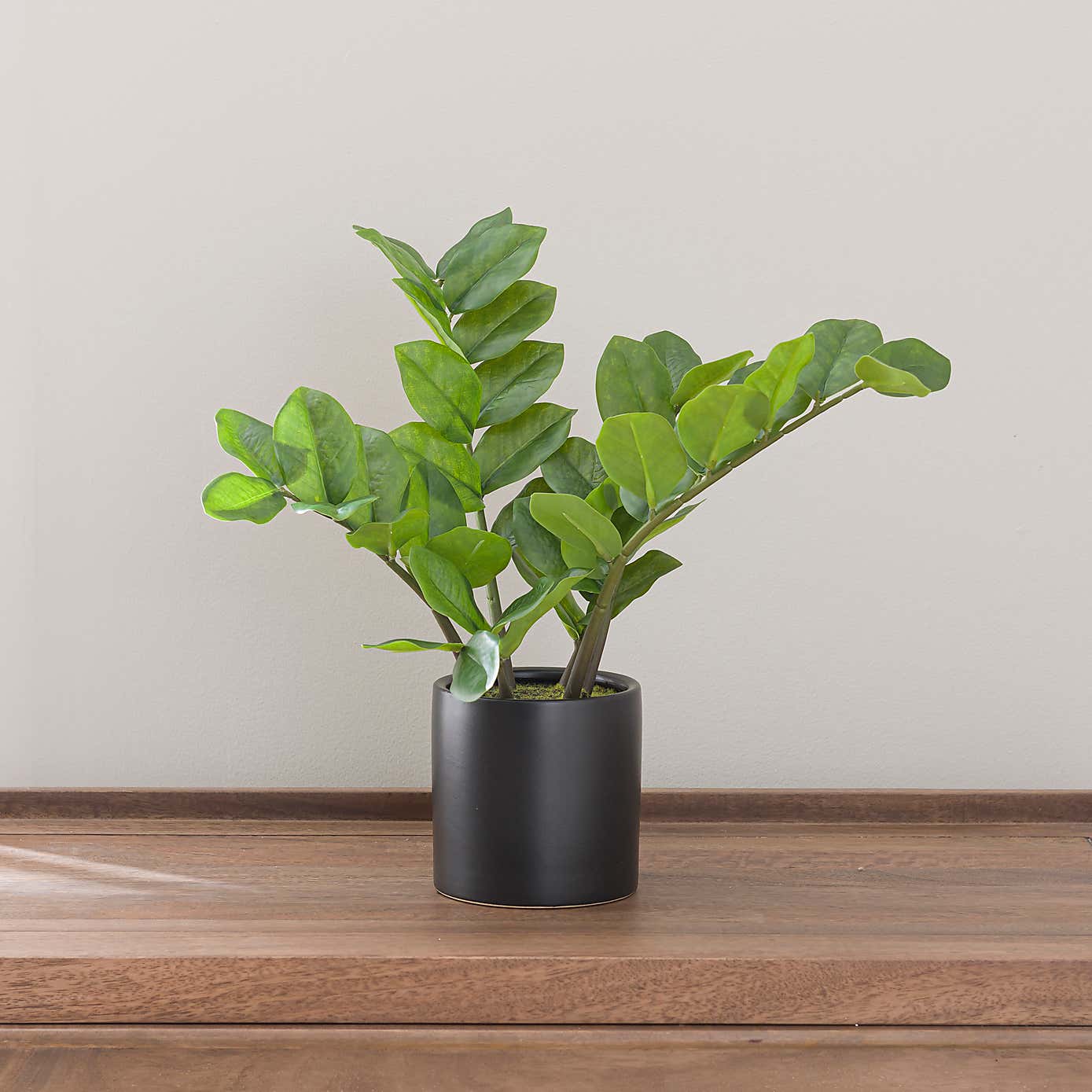 Artificial ZZ Plant in Black Ceramic Plant Pot