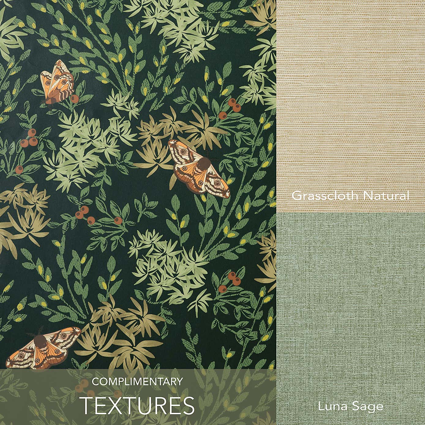 Moorland Moth Wallpaper Green