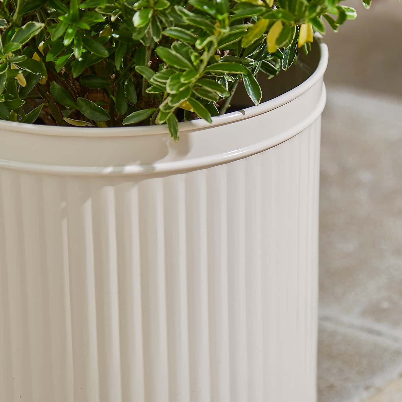 Round Galvanised Plant Pot