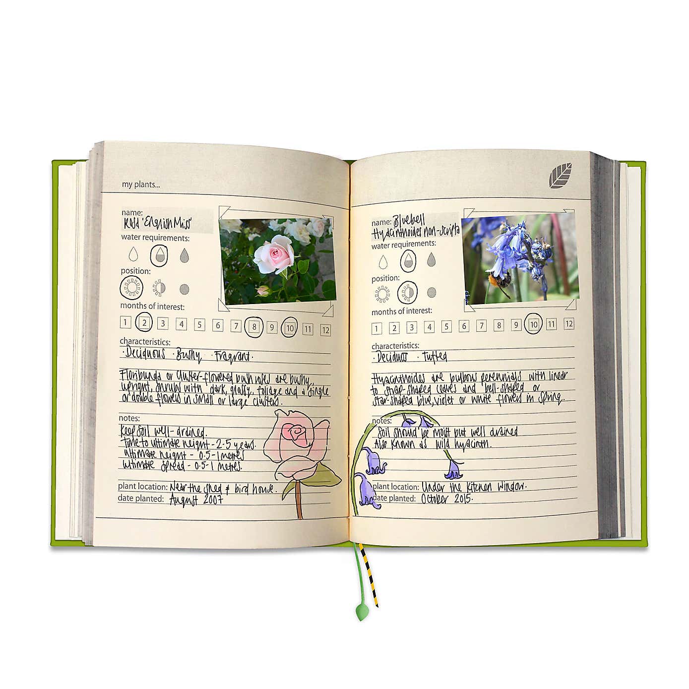 My Gardening Handbook