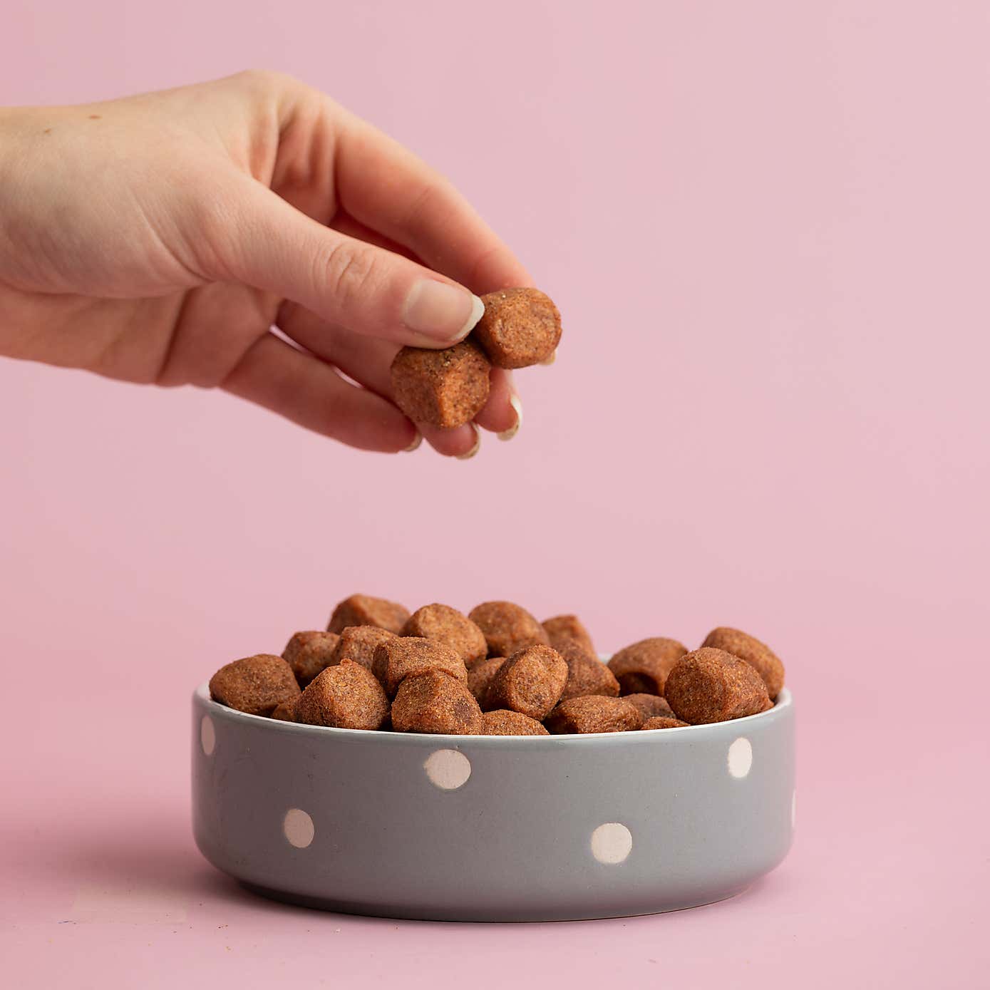 Mason Cash Set of 2 Spotty Pet Bowls