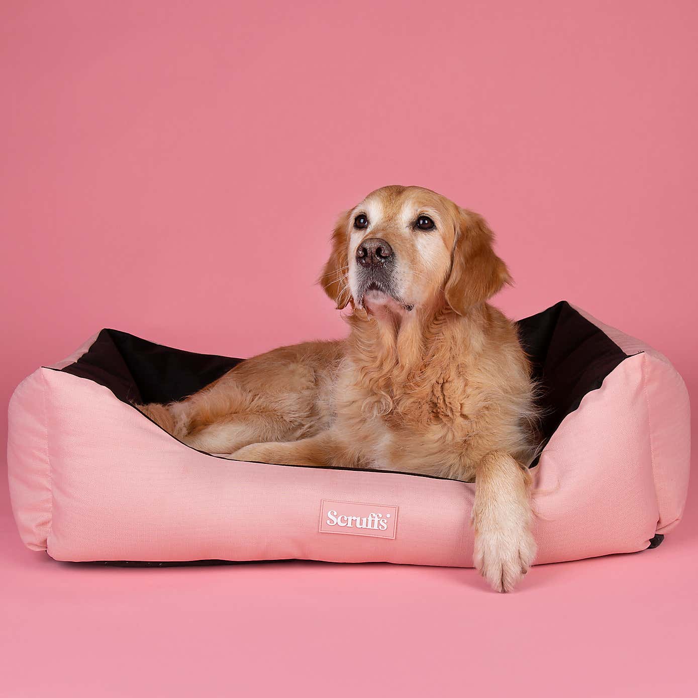 Scruffs Expedition Box Bed