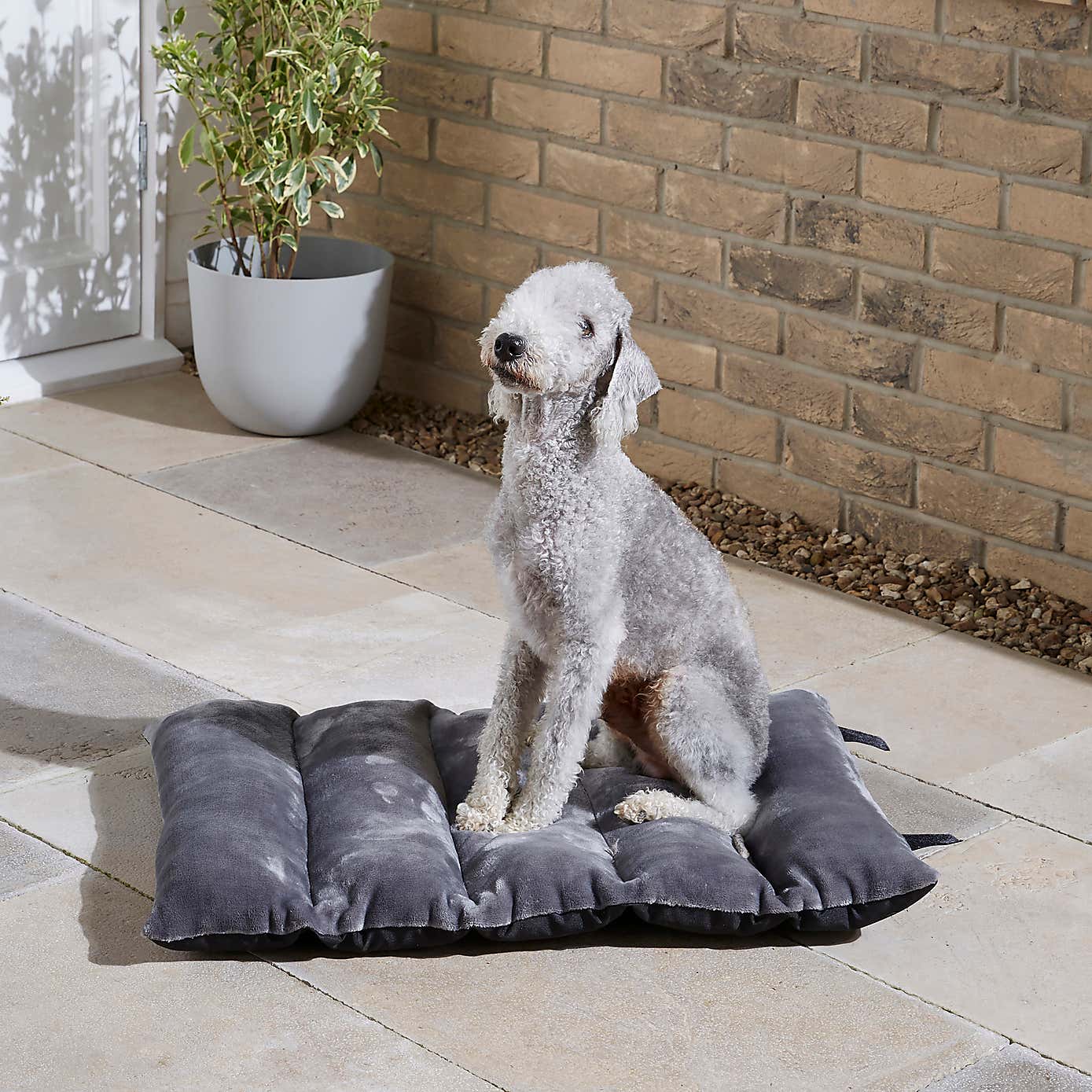 Pet Travel Blanket