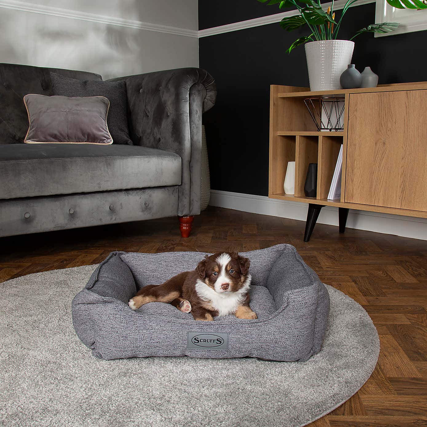 Scruffs Pet Manhattan Box Bed
