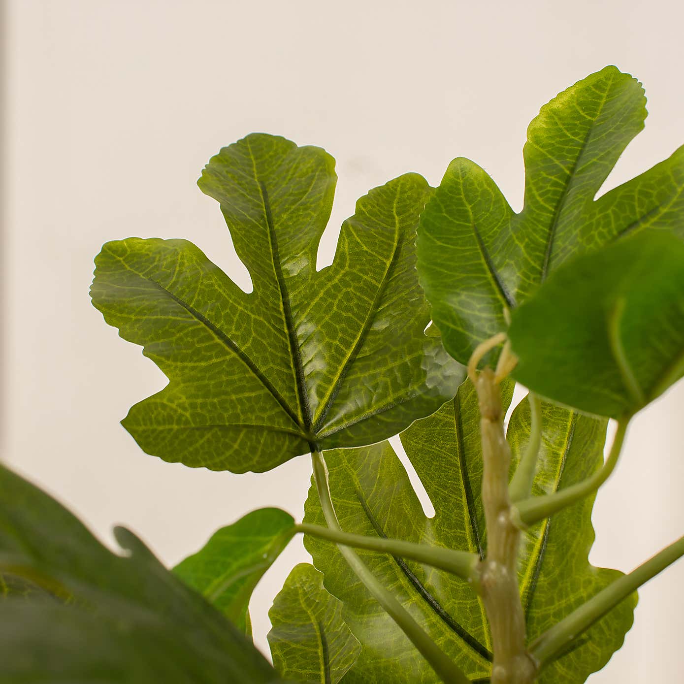 Artificial Fig Tree in Bamboo Plant Pot