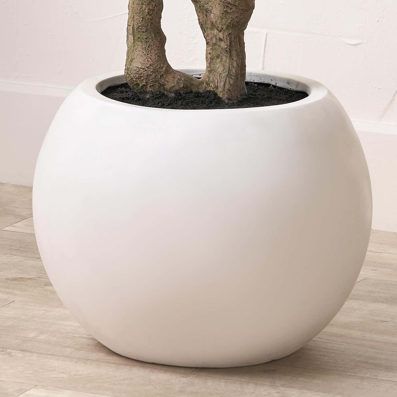 Artificial Extra Large Olive Tree in Rounded White Plant Pot