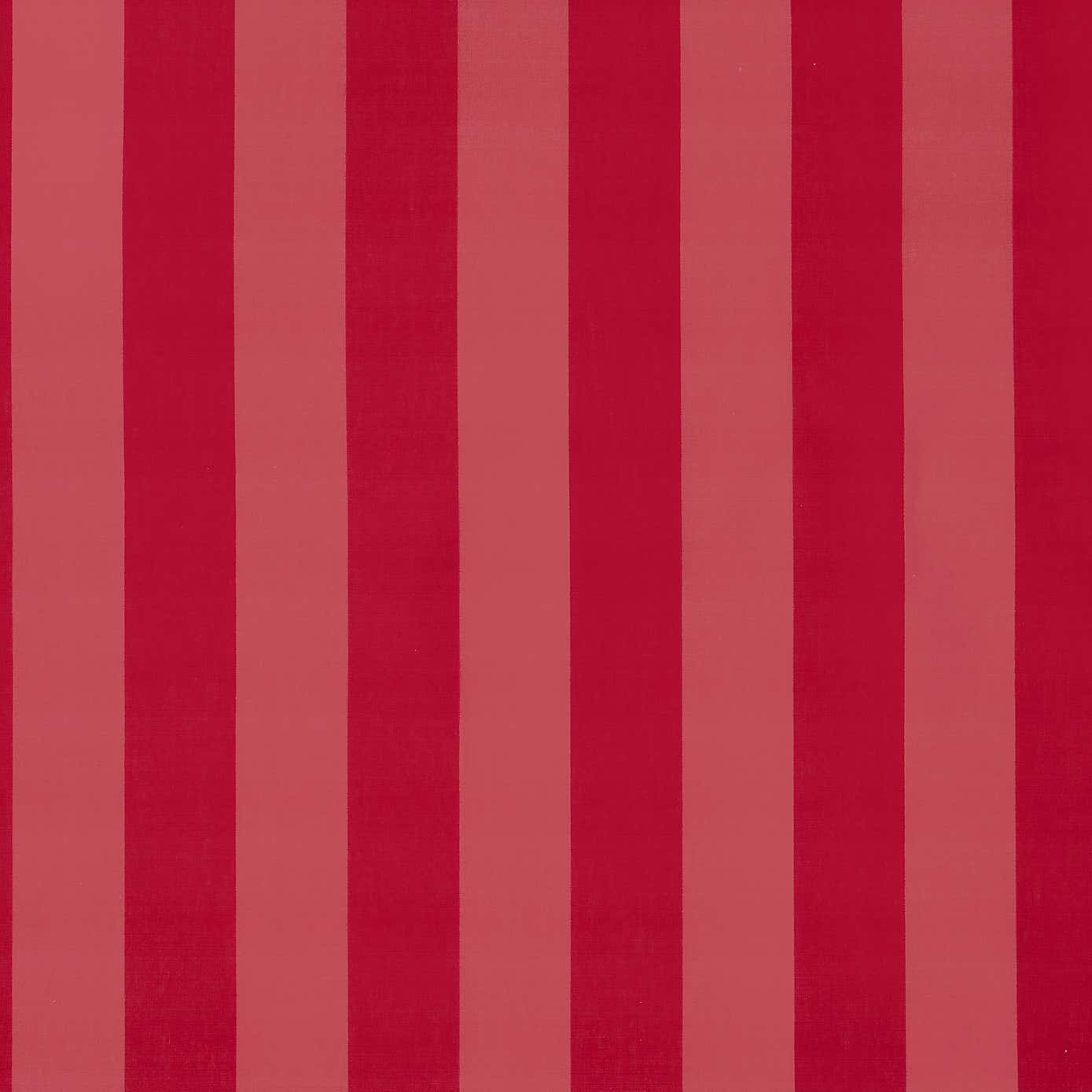 Magenta Stripe Cotton Poplin