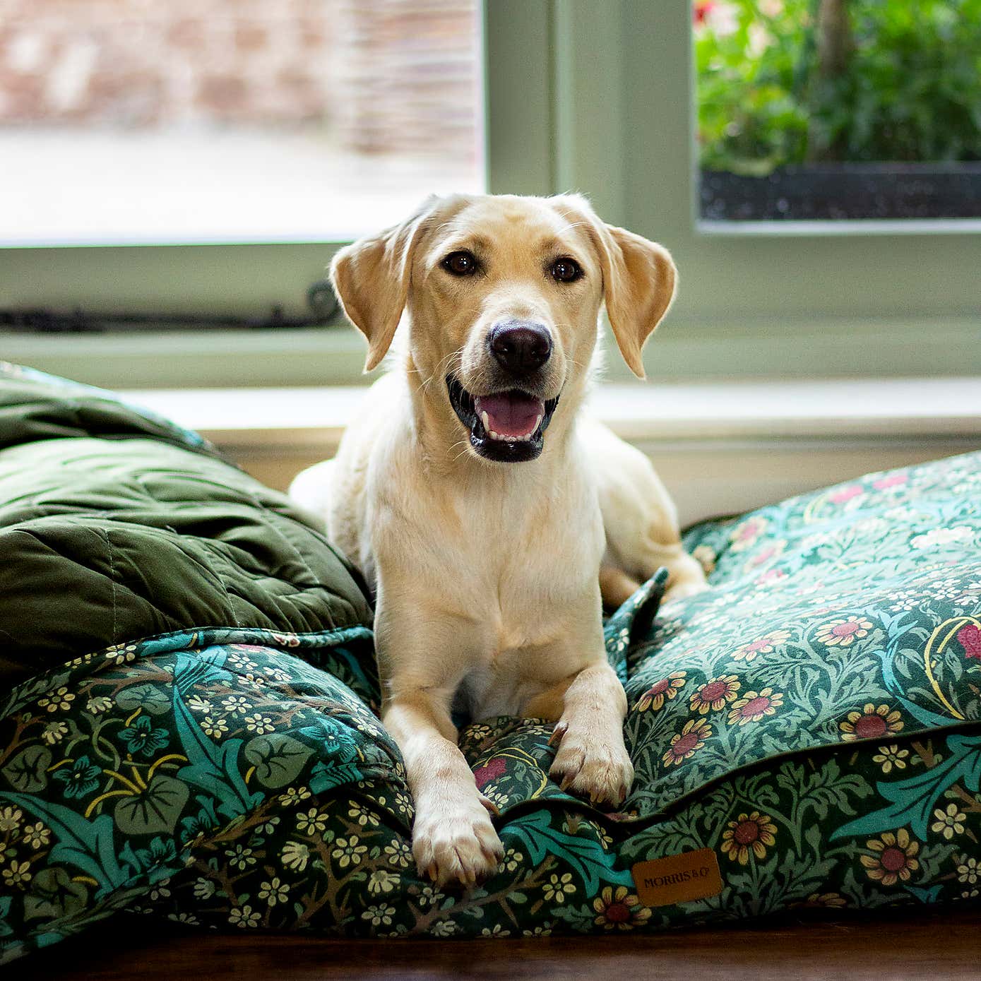 Morris & Co Blackthorn Mattress Pet Bed