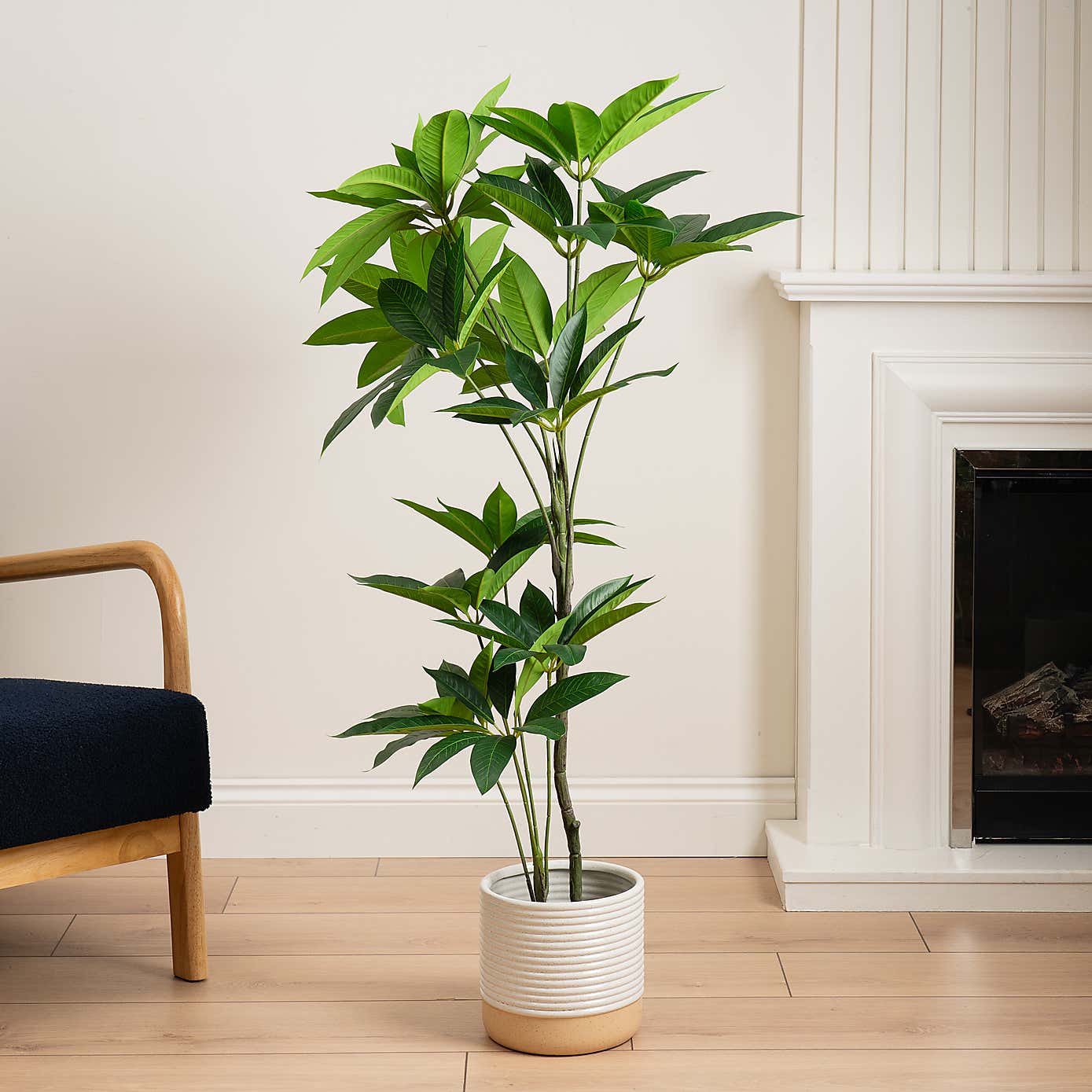 Artificial Umbrella Plant in Black Plant Pot