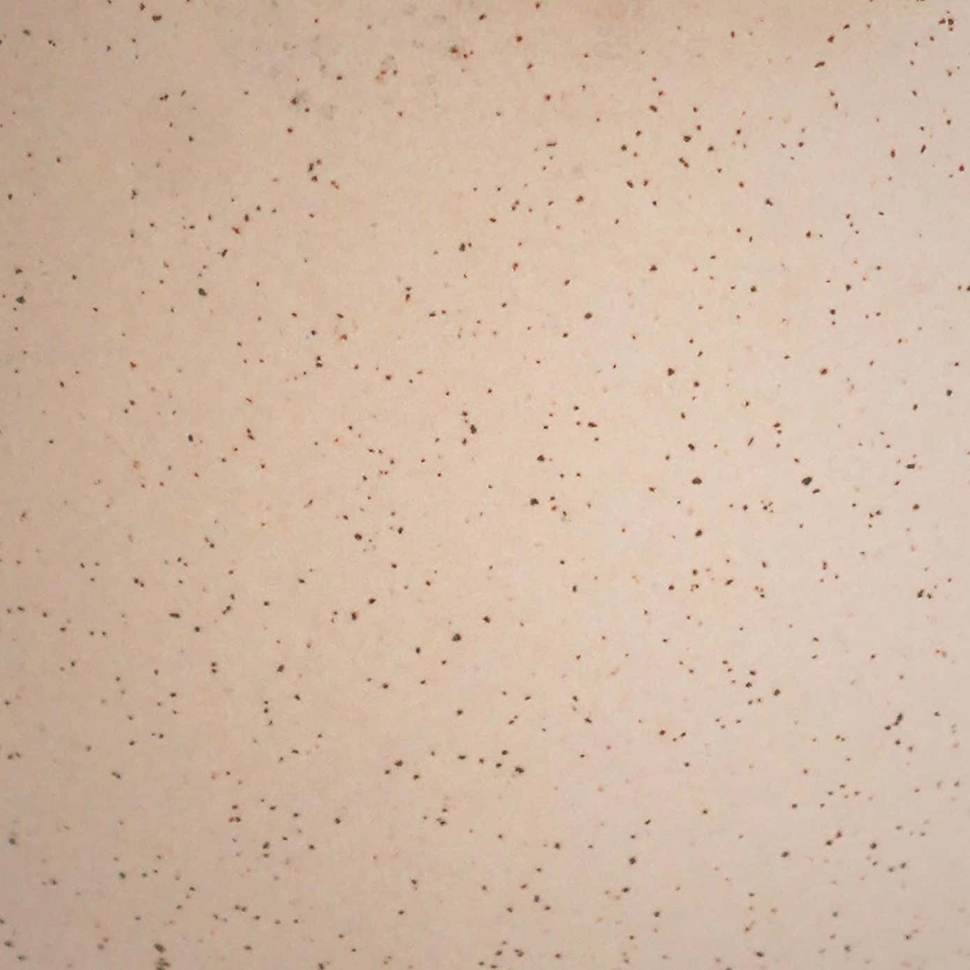 Lecce Speckled Plant Pot