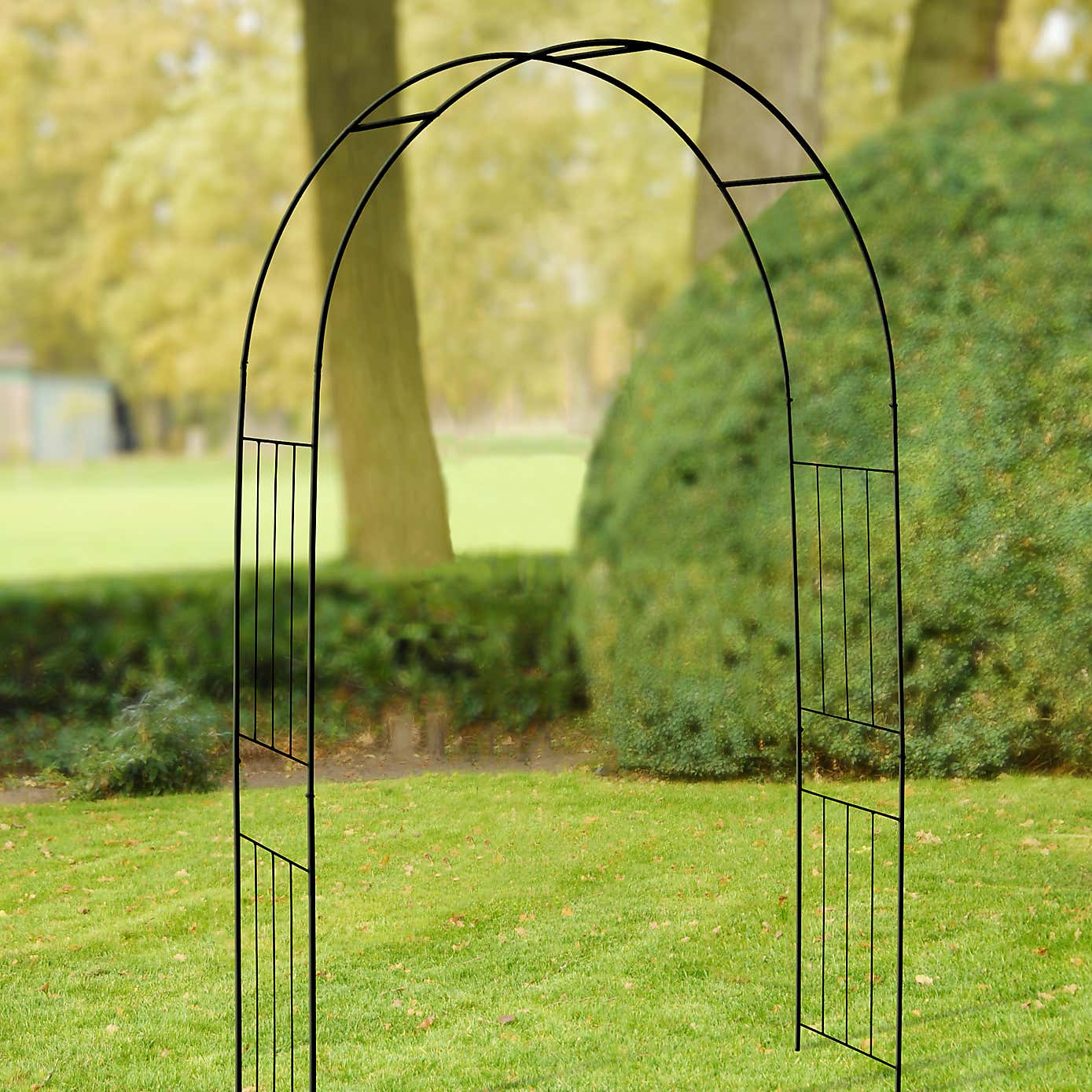 Fallen Fruits Rose Arch