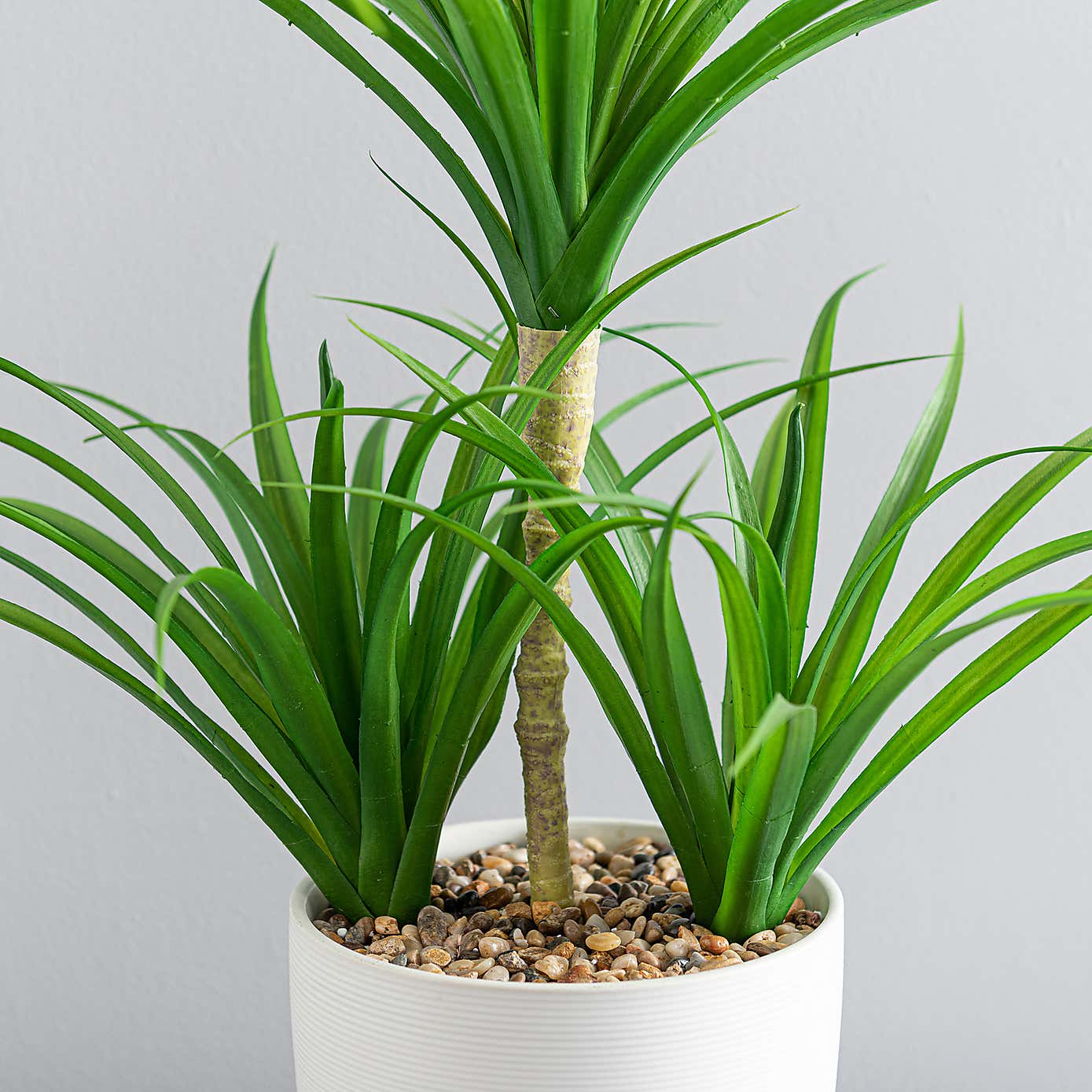 Artificial Yucca Plant in White Ceramic Plant Pot