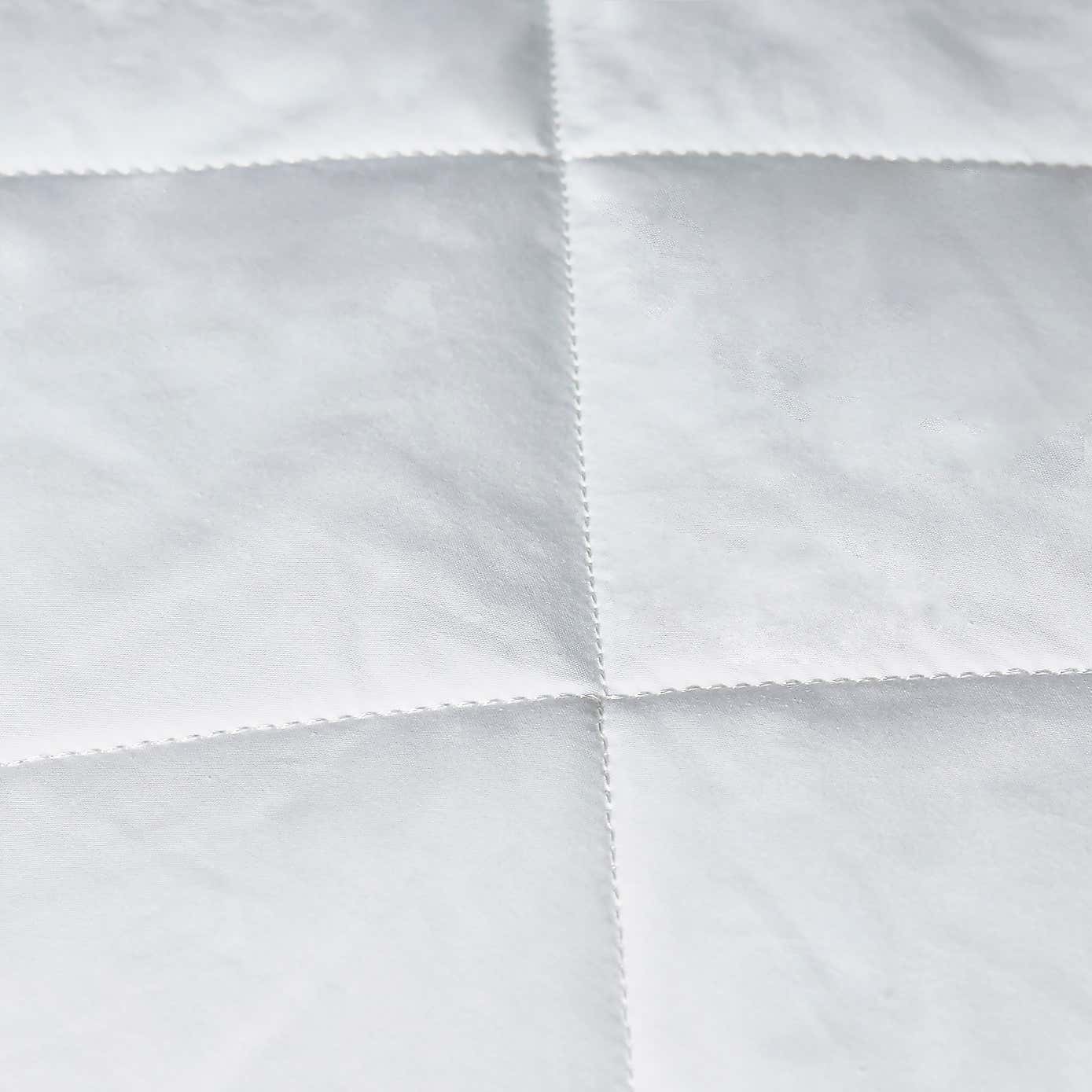 Dorma Pillow Protector Pair