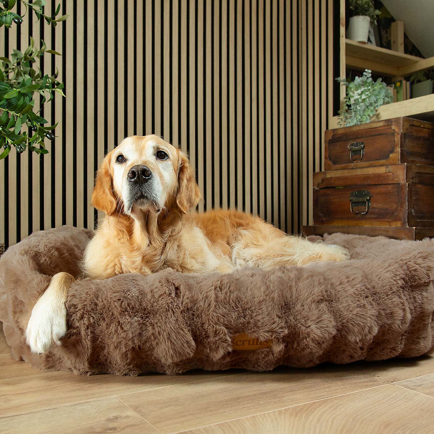 Scruffs Luxurious Alpine Dog Box Bed