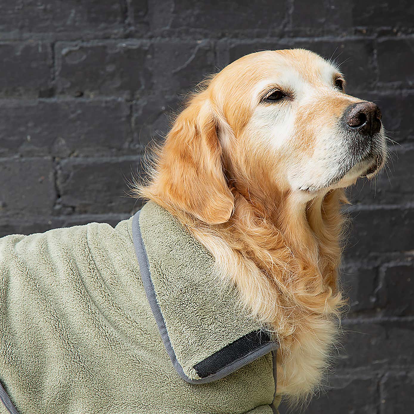 Scruffs Expedition Dog Drying Robe