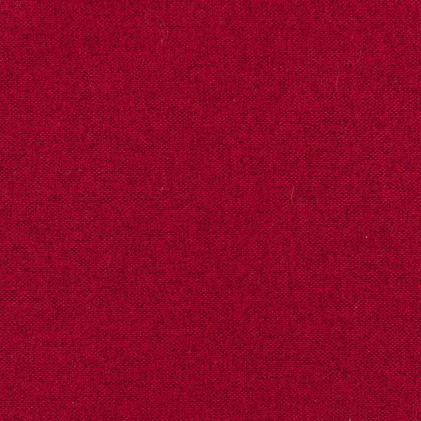 Luna Blackout Roller Blind