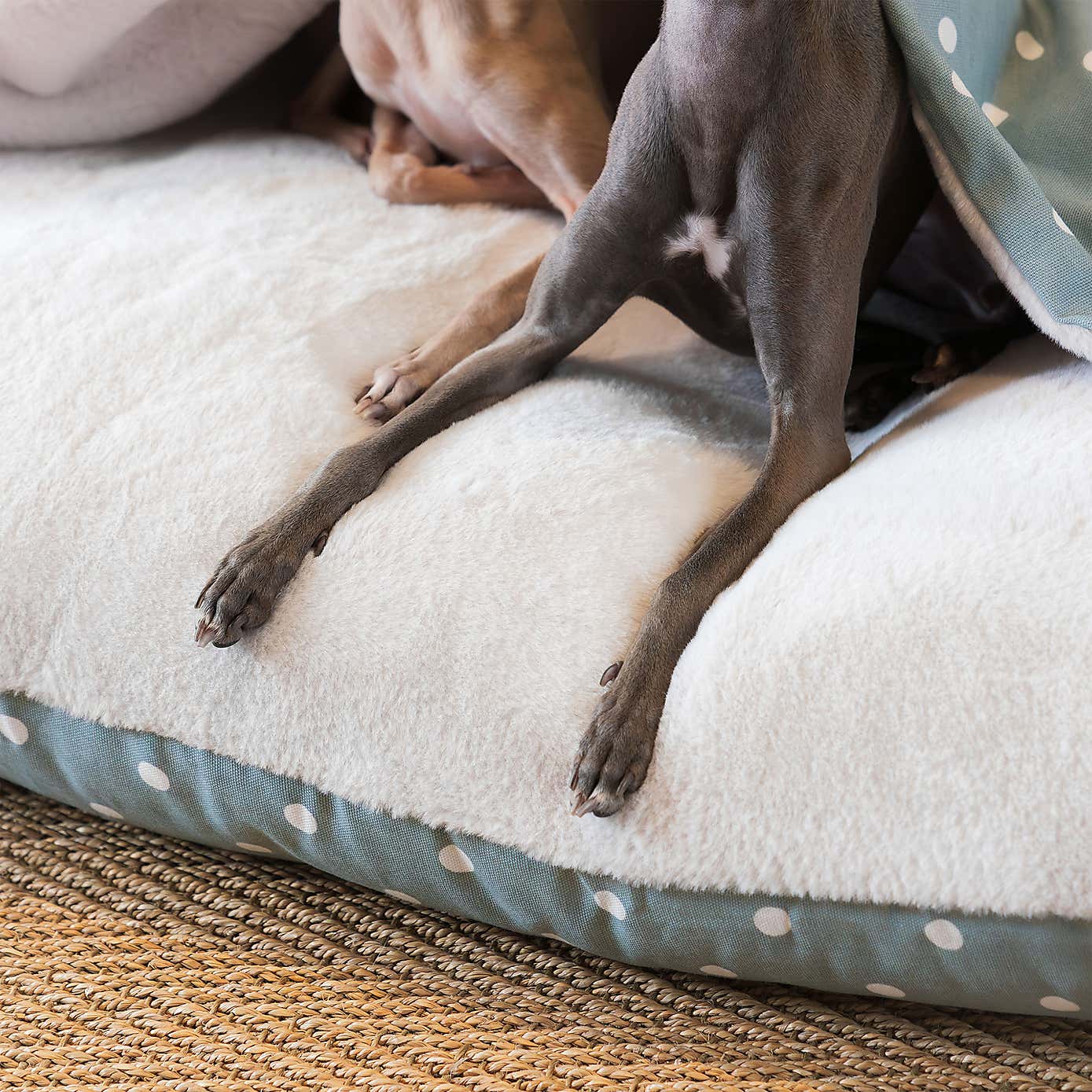 Lords and Labradors Spotty Sleepy Burrow Dog Bed