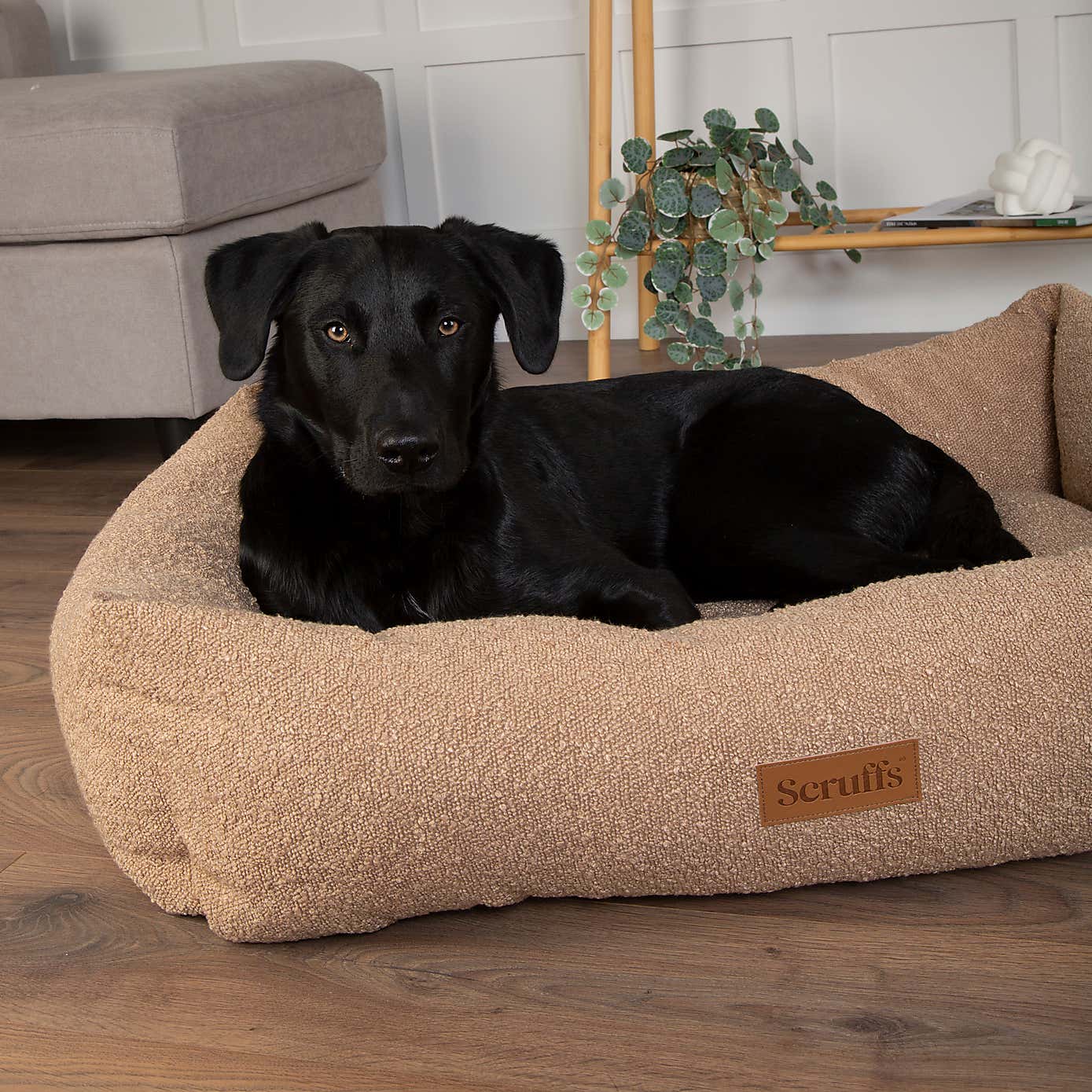 Scruffs Boucle Box Bed