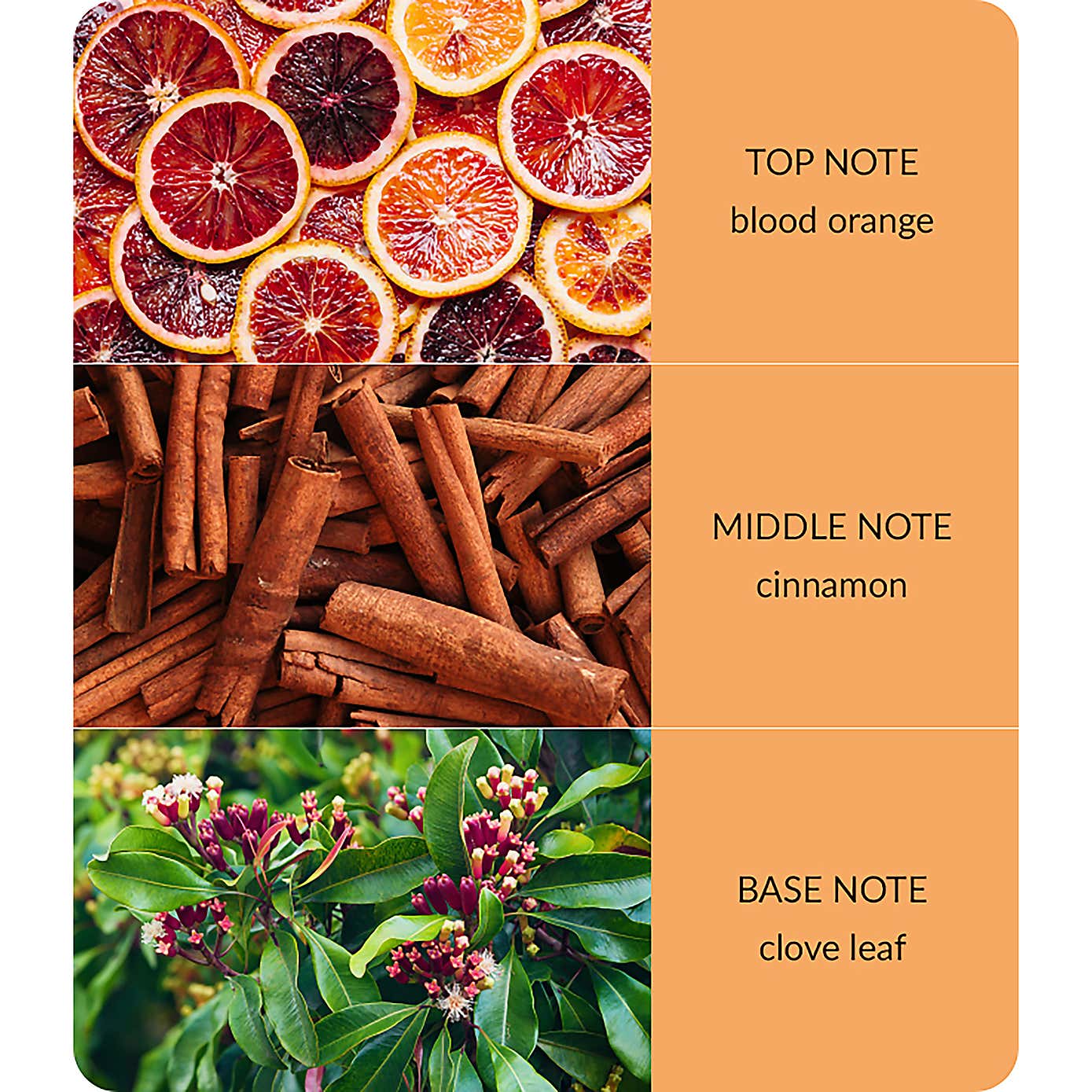 Heart and Home Bamboo Orange Zest & Clove Oil Diffuser