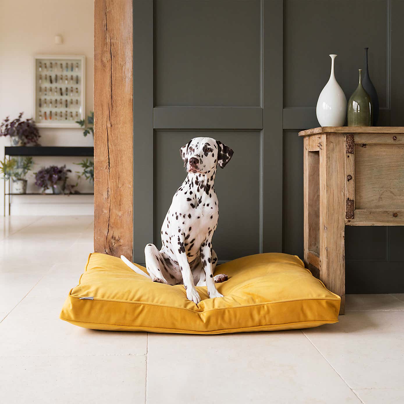Lords and Labradors Velvet Dog Cushion