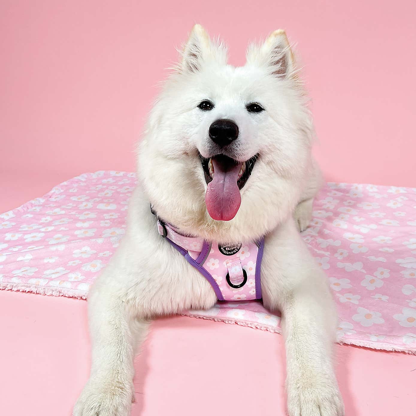 Pink Flowers Dog Blanket