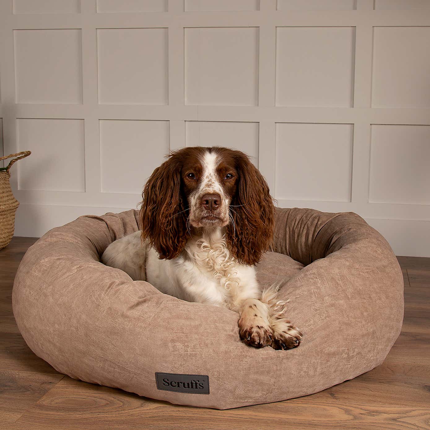 Scruff Oslo Donut Dog Bed