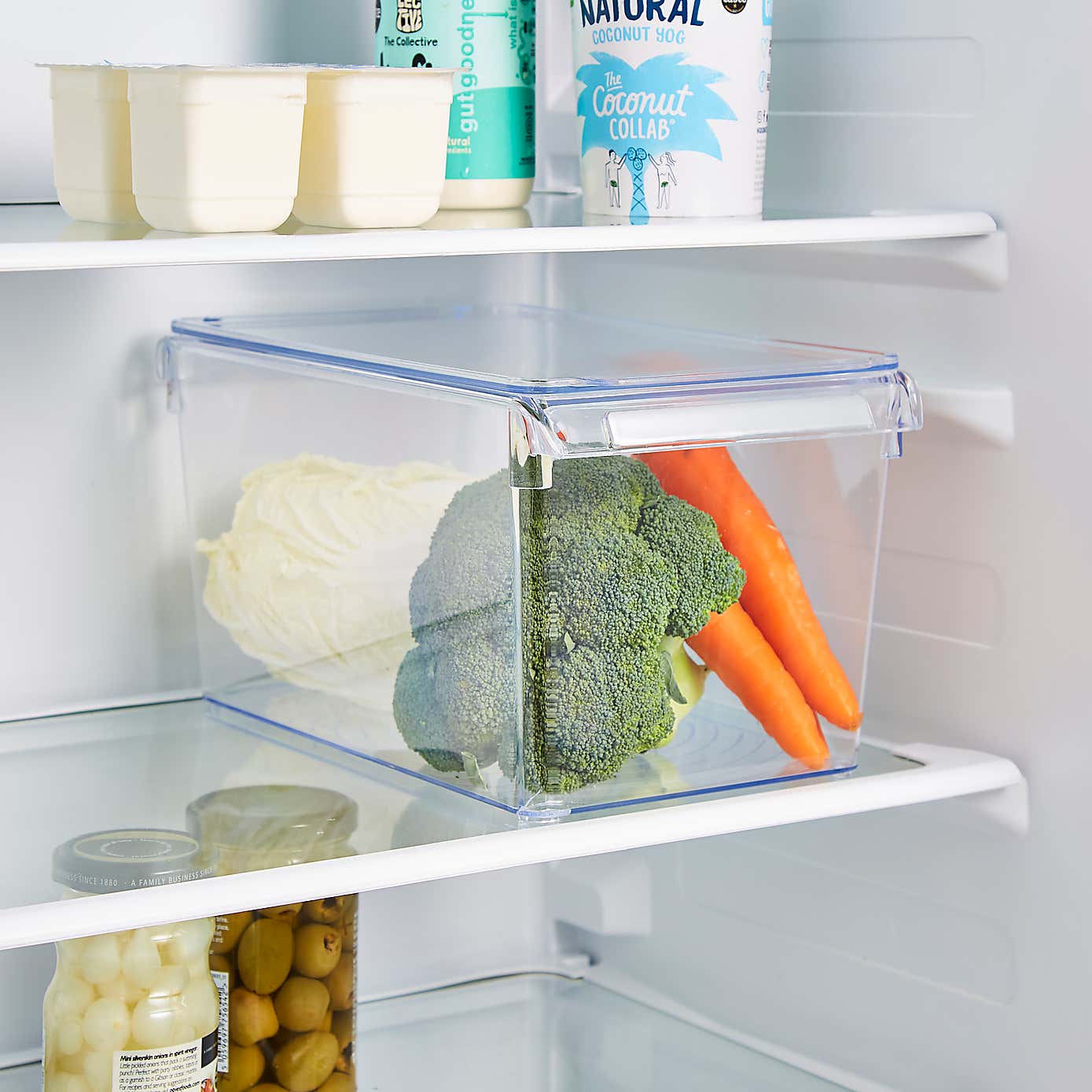 Food Storage Organizer With Lid