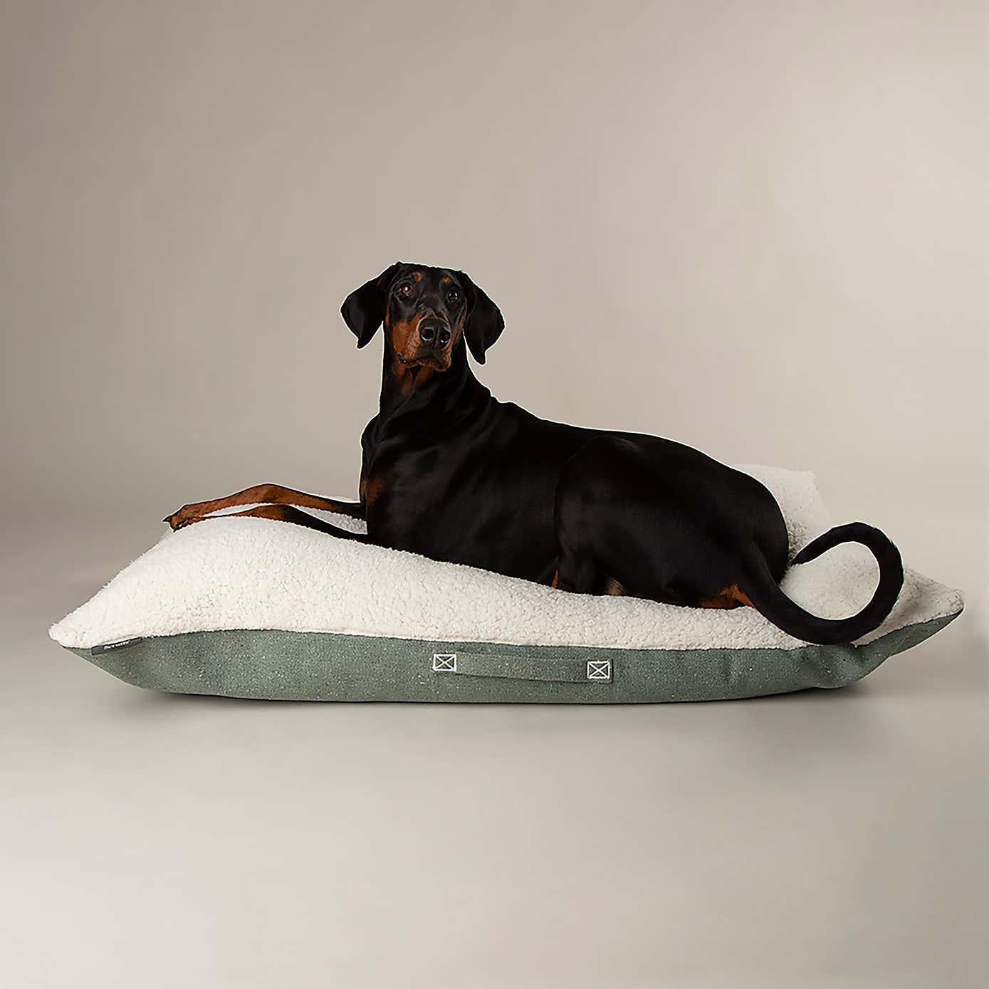 Scruffs 100% Recycled Eden Dog Pillow