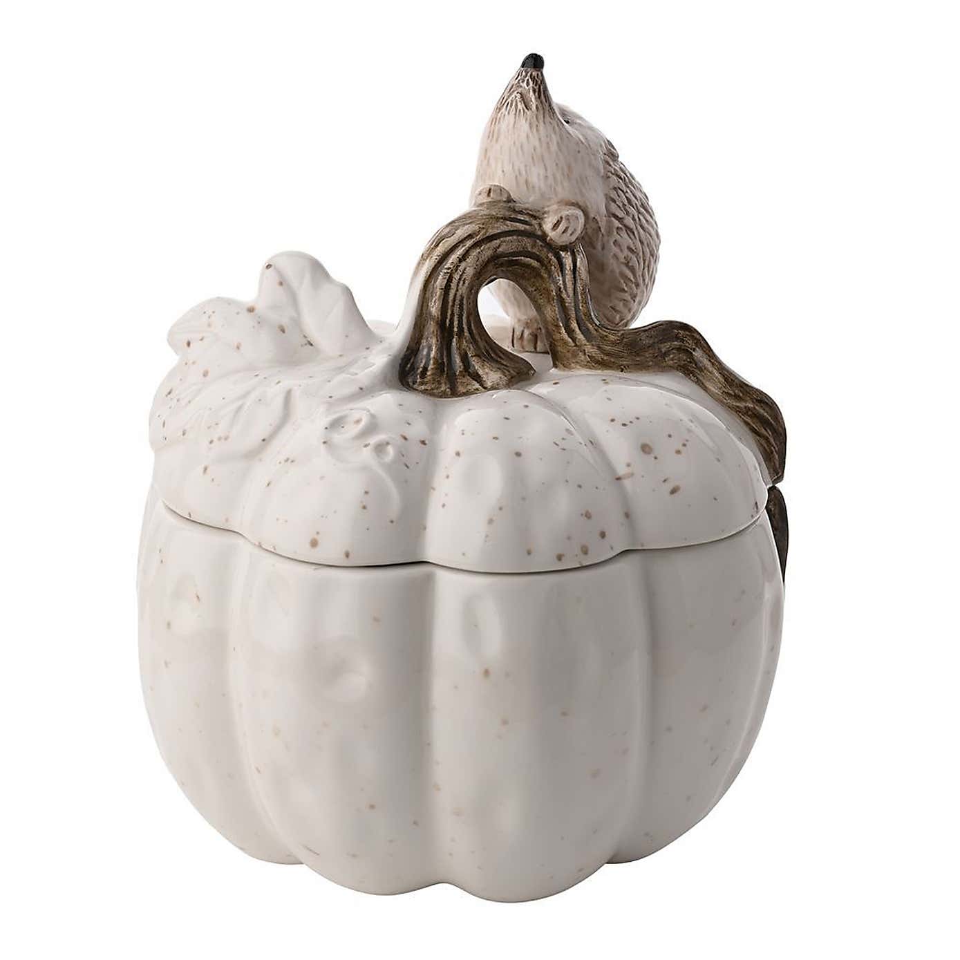 Country Living Ceramic Hedgehog Storage Pot