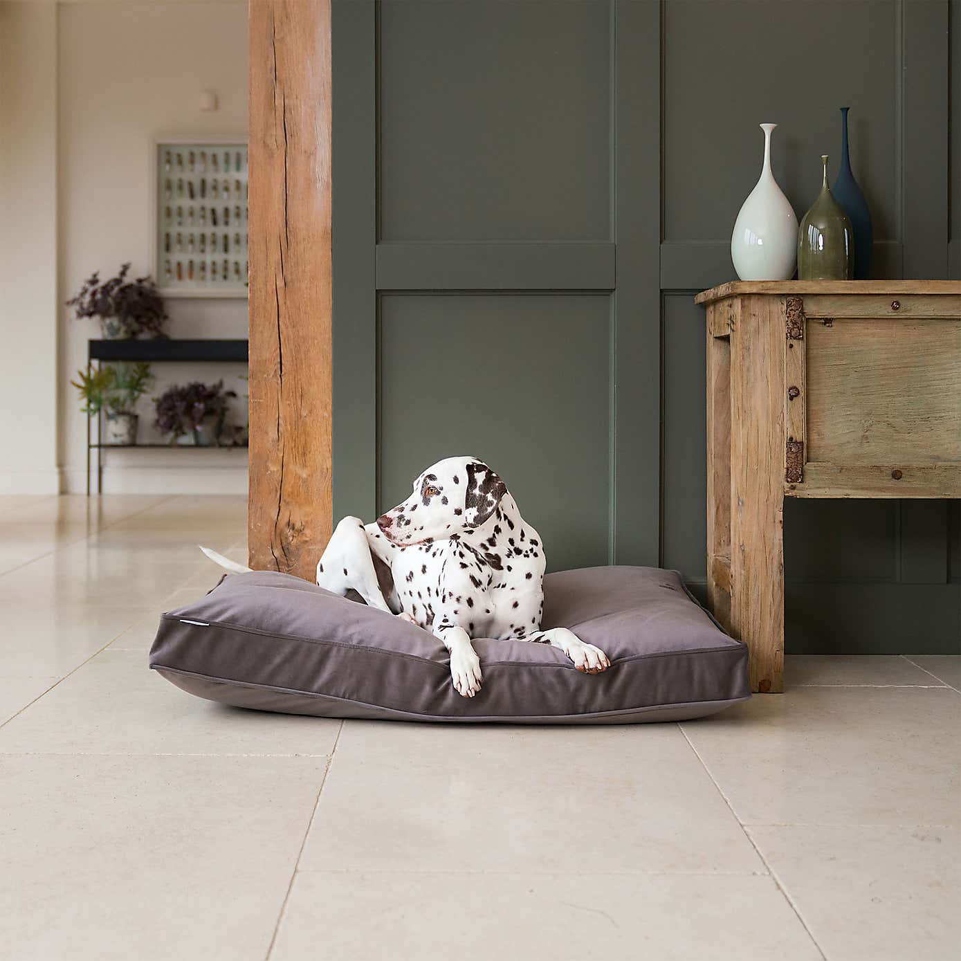 Lords and Labradors Velvet Dog Cushion