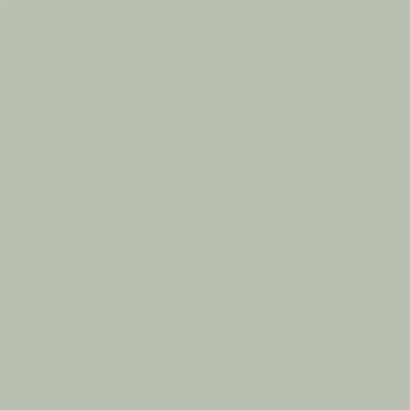 Rachel Ashwell Shabby Chic Sage Symphony Matt Emulsion Multi Surface Paint