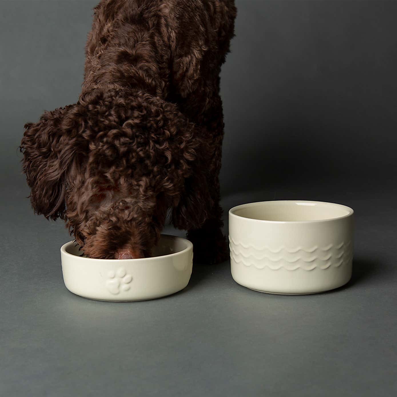 Scruffs Set of 2 Medium Icon Dog Bowls