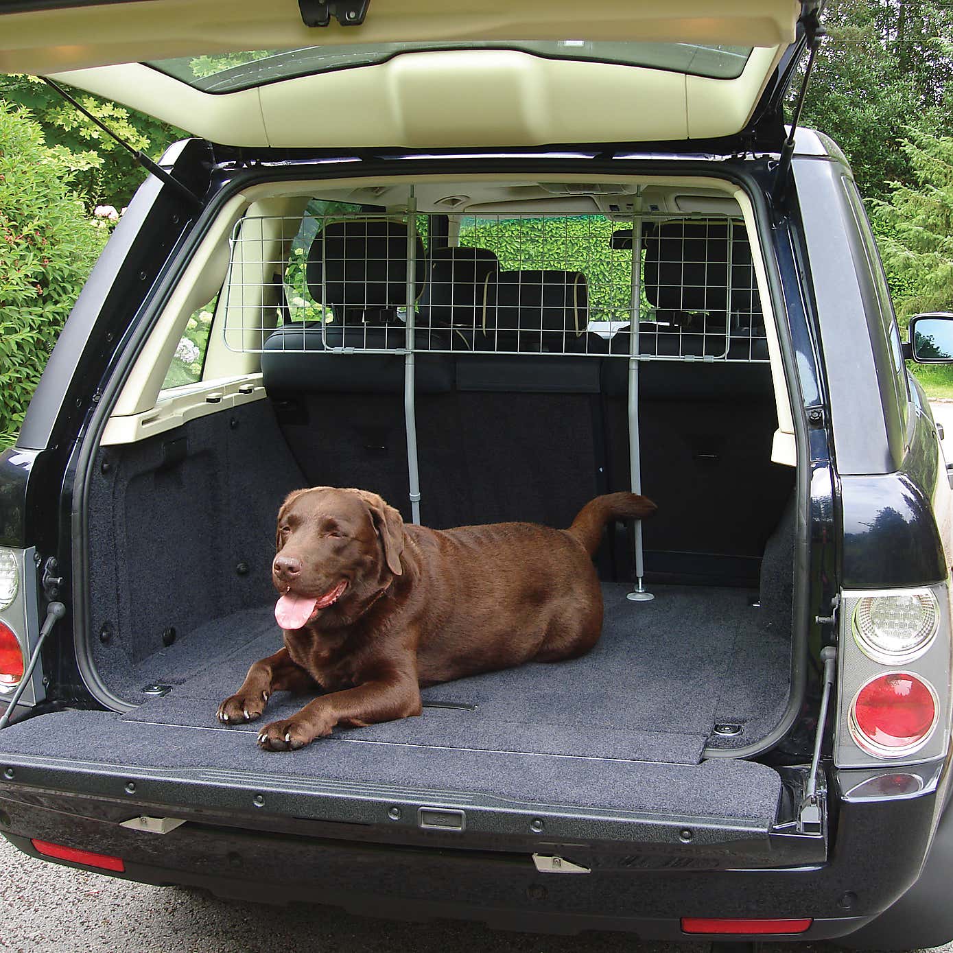 Rosewood Car Dog Guard