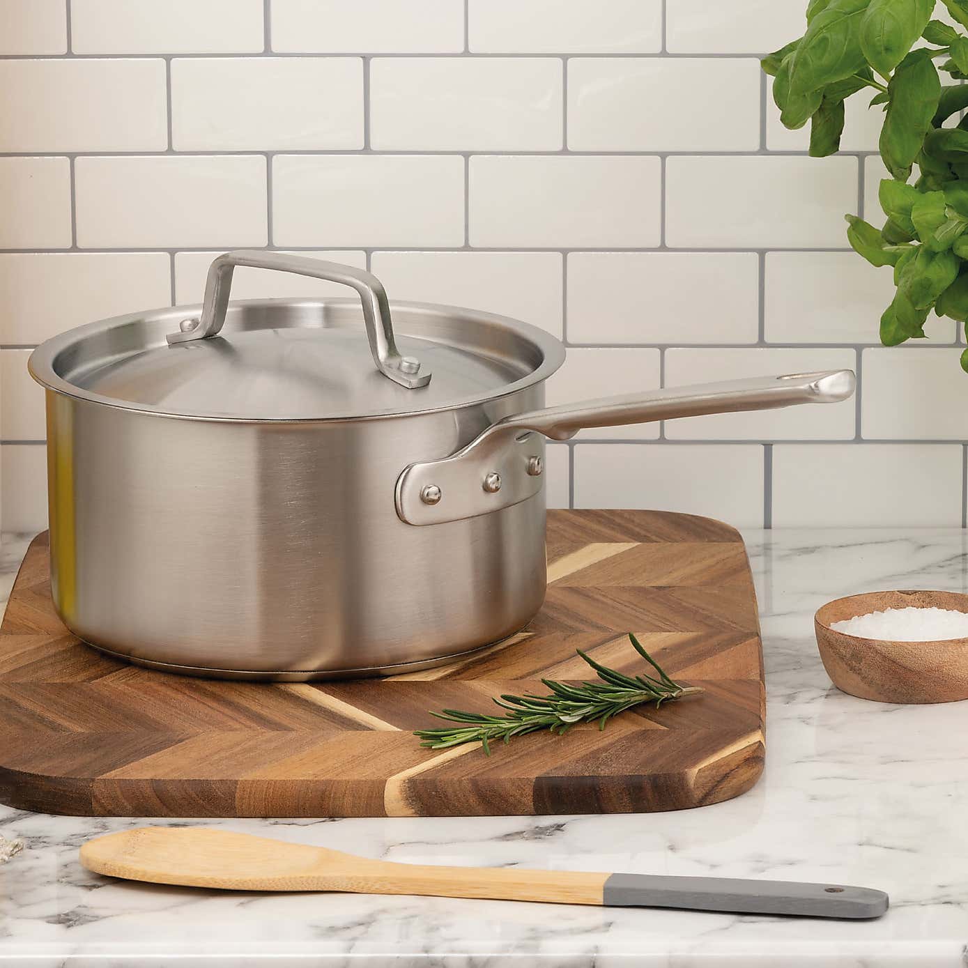 Gourmet Stainless Steel Saucepan, 20cm