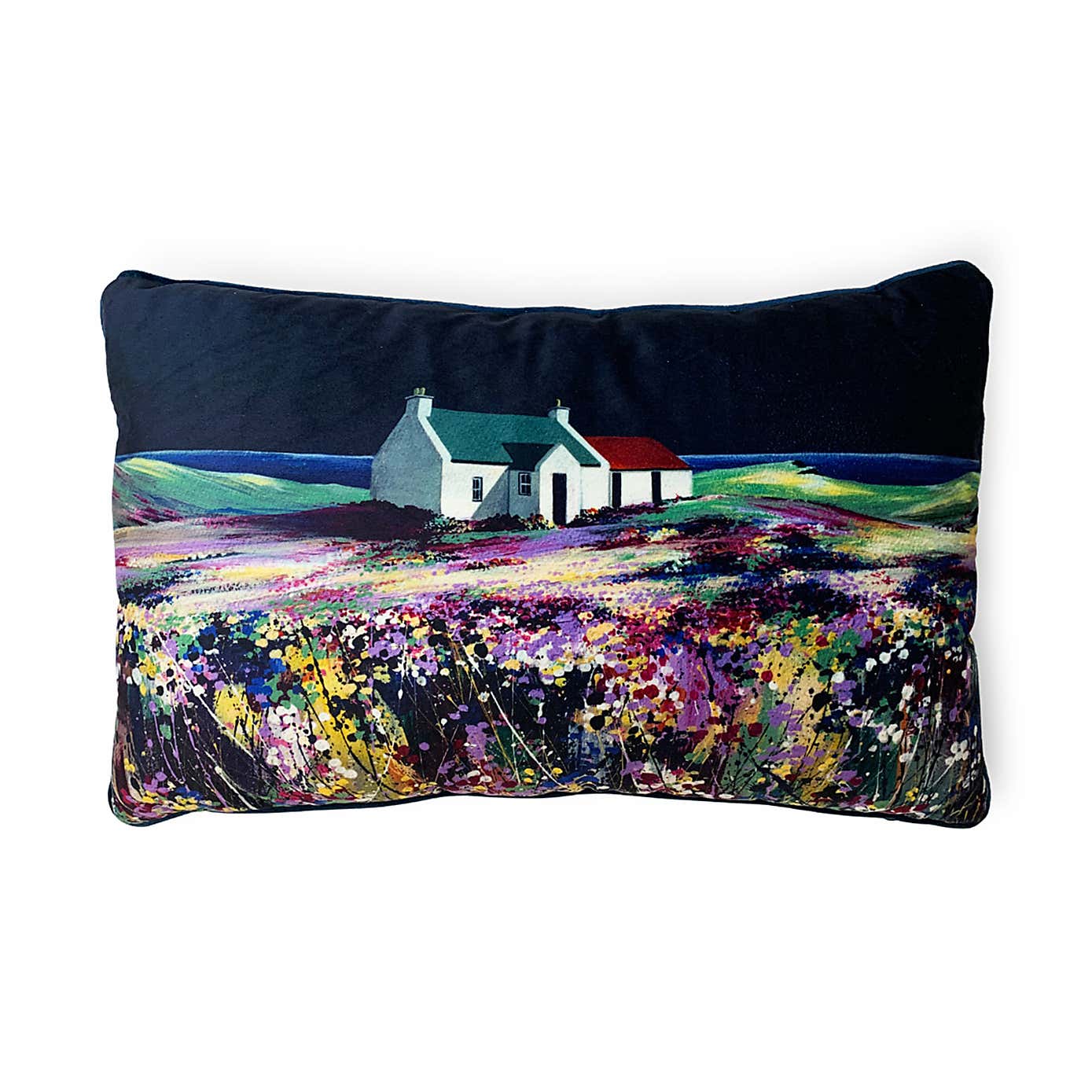 Avril Thomson Smith Moonshine Velvet Rectangle Cushion