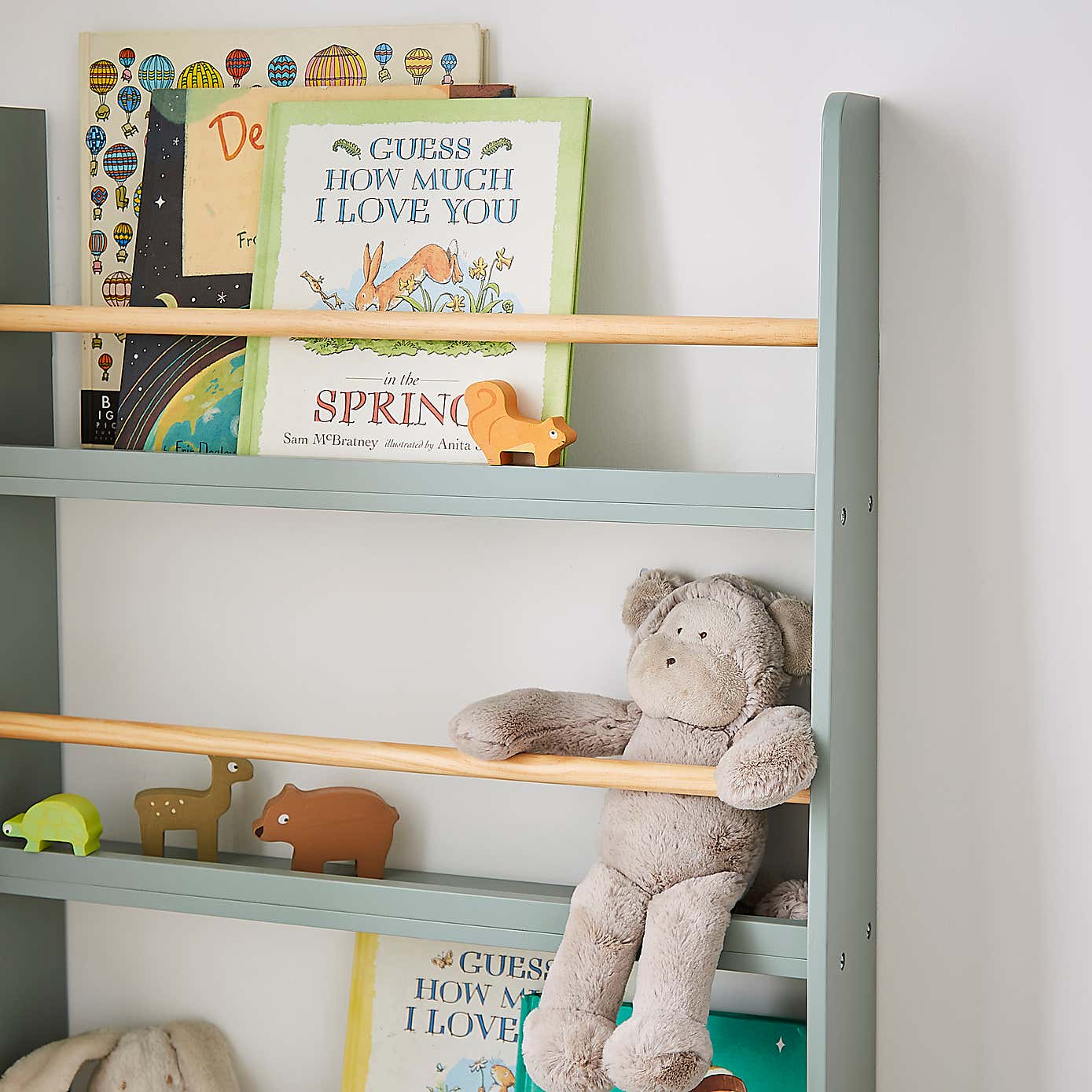 Wall Mounted Book Shelf