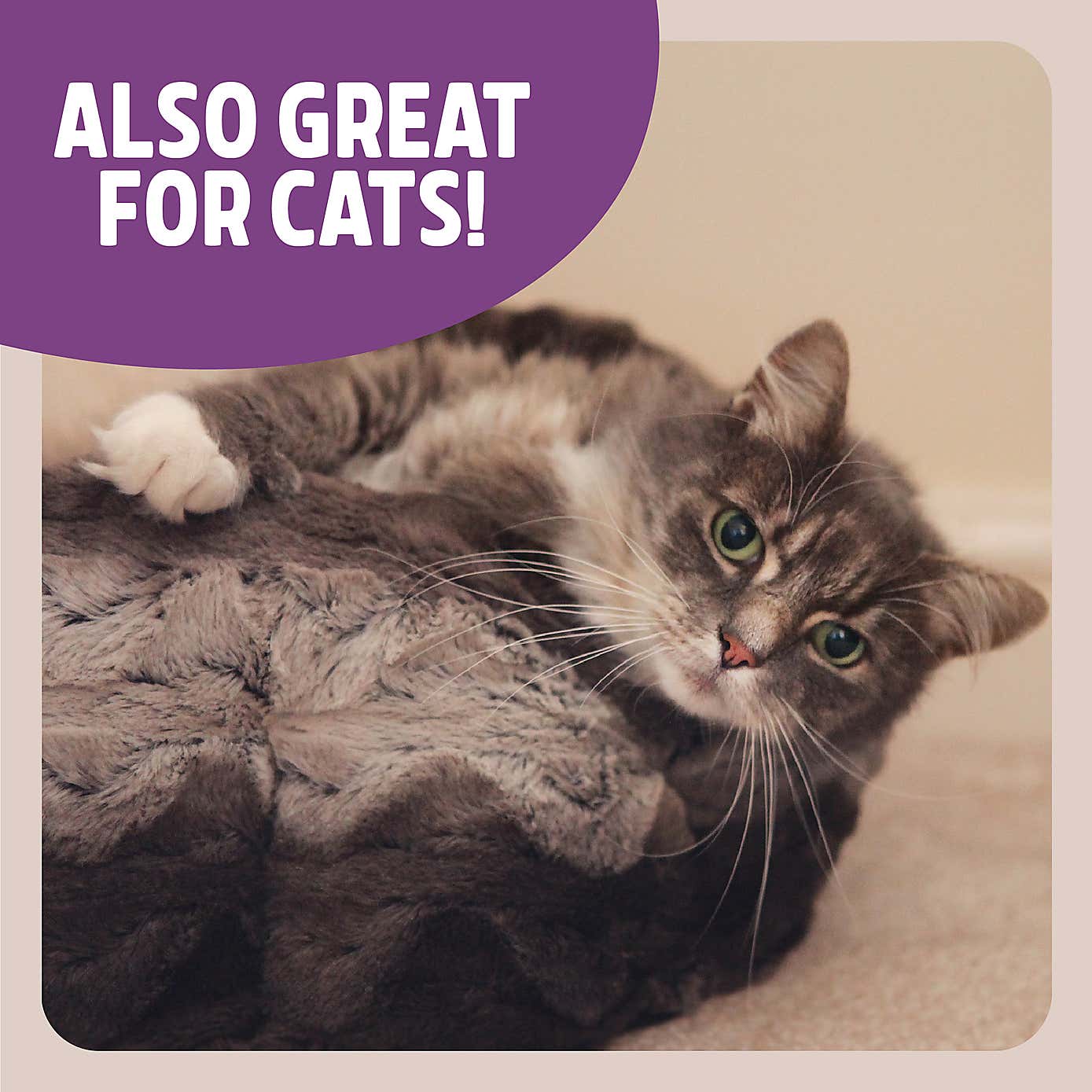 Rosewood Snuggle Cat Bed