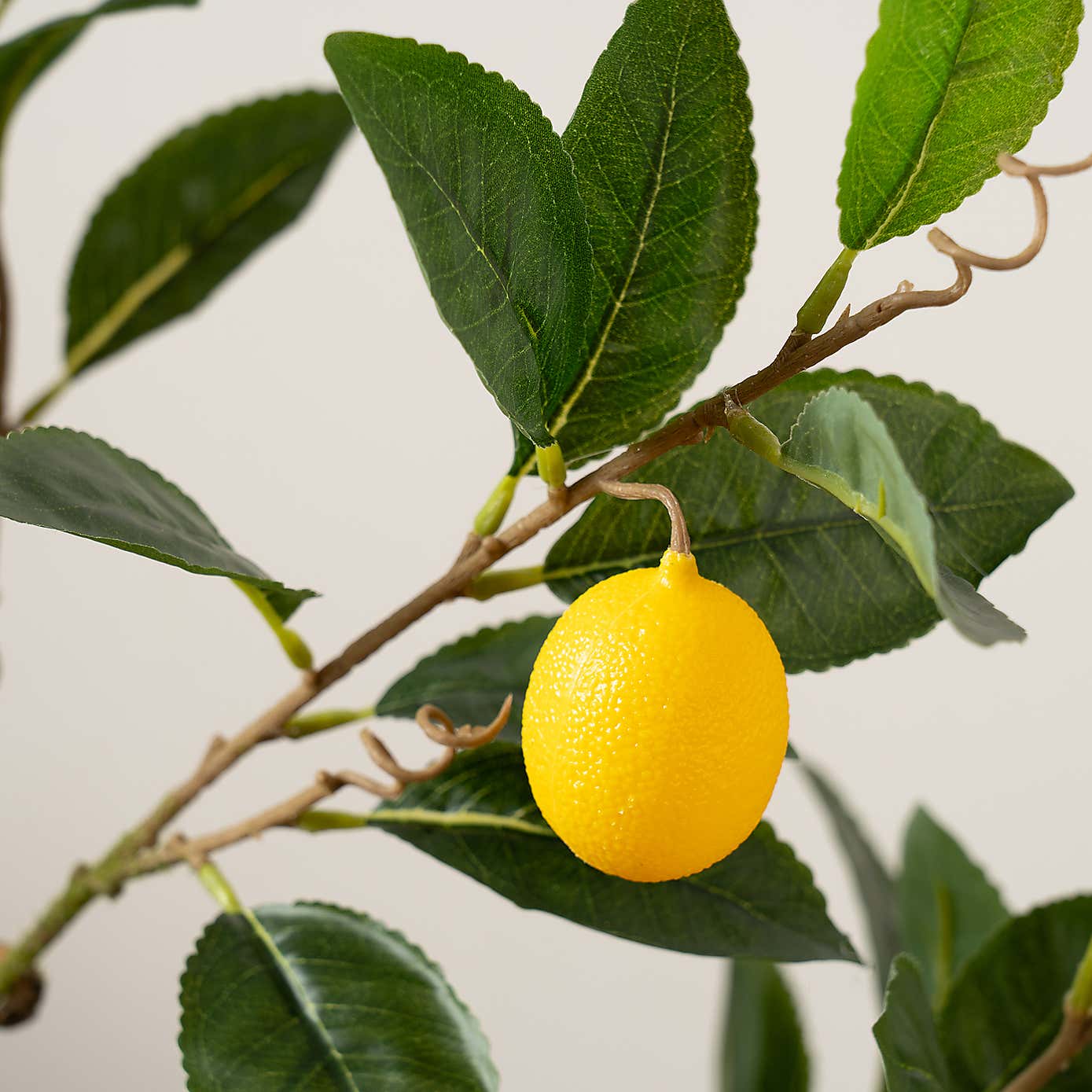 Artificial Lemon Tree in Black Plastic Plant Pot