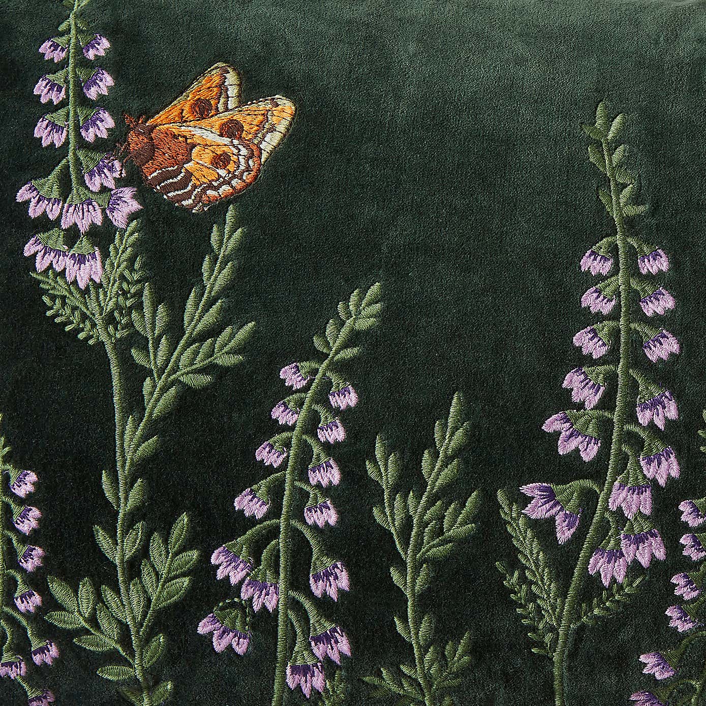 Emperor Moth Cushion