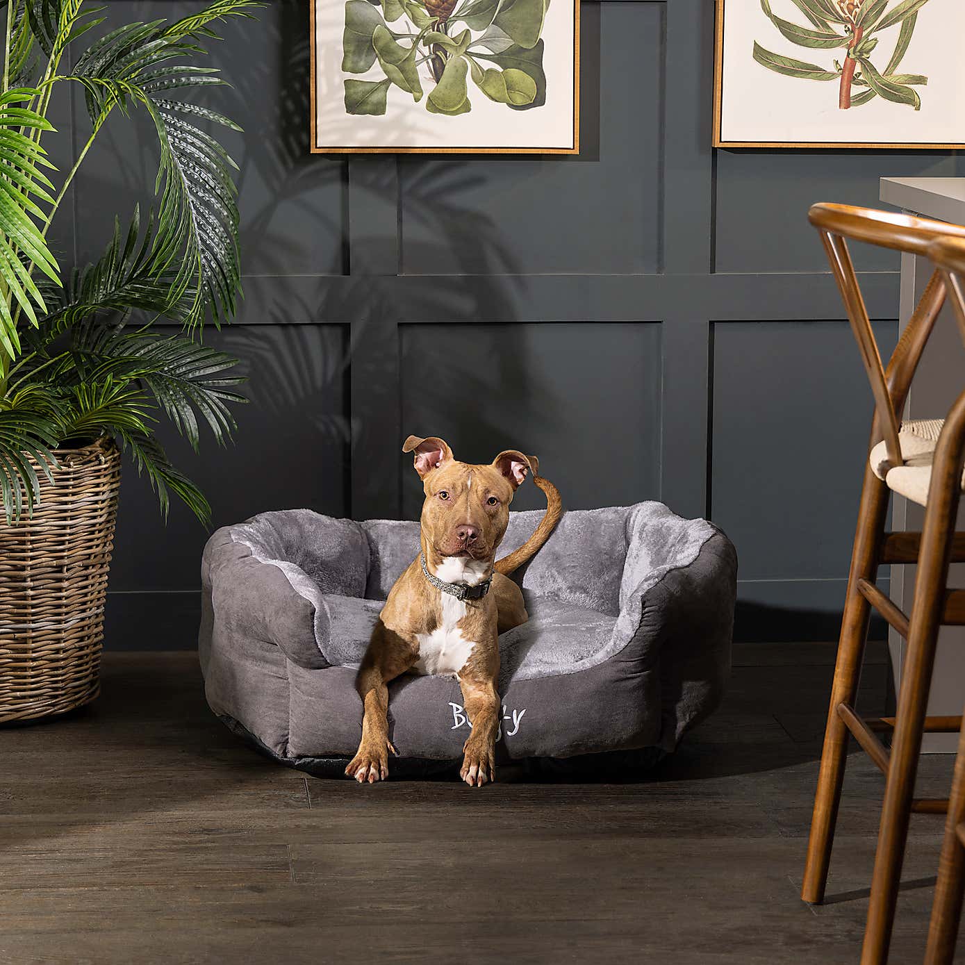 Bunty Pets Polar Pet Bed