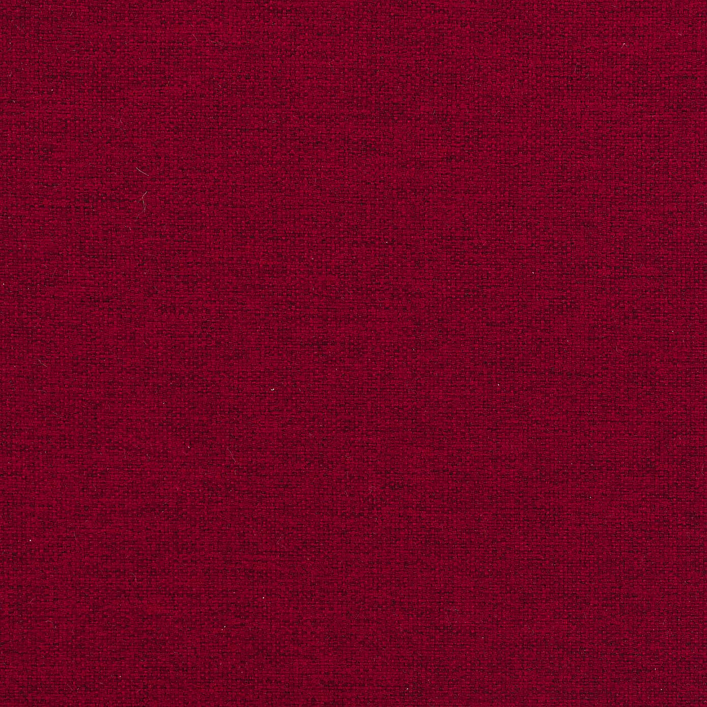 Luna Blackout Roman Blind