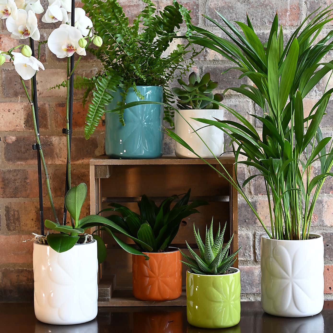 Navigate Carnaby Ceramic Embossed Pot