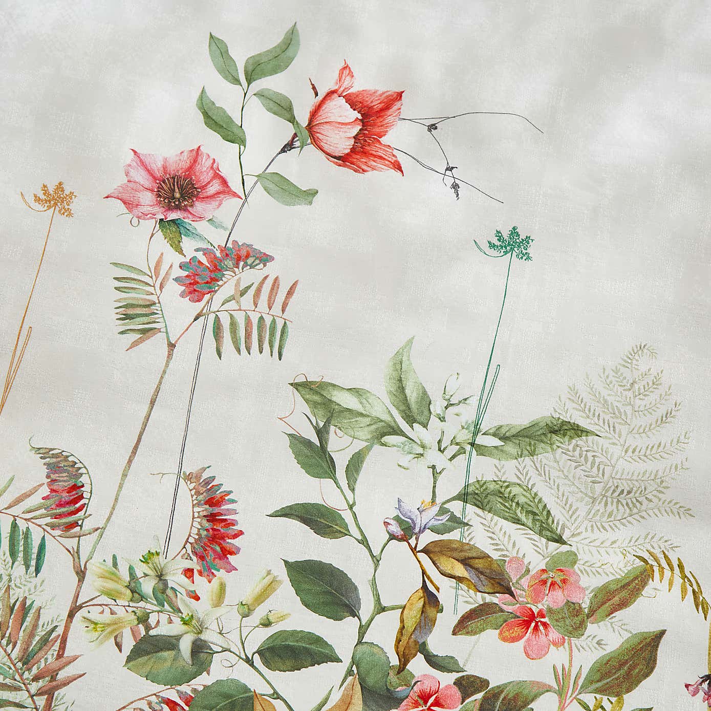 Dorma Rambling Rose Cream Cotton Duvet Cover and Pillowcase Set