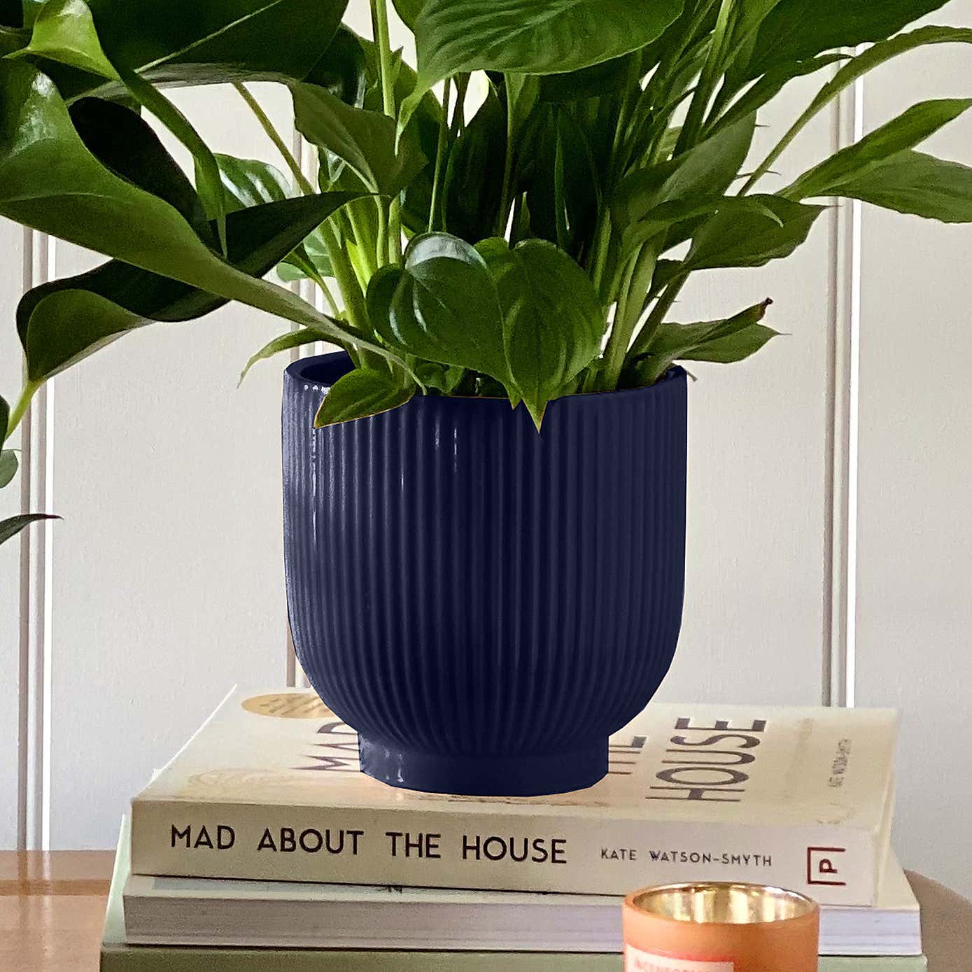 Beards & Daisies Air Purifying Pair Peace Lily and Peach Anthurium House Plant in Ribbed Pot